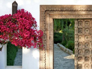 - image: 23