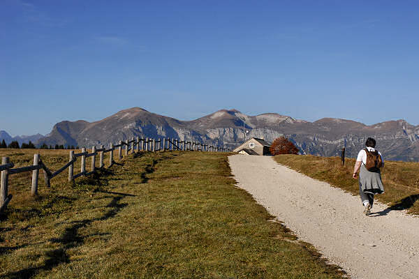 - image: 43