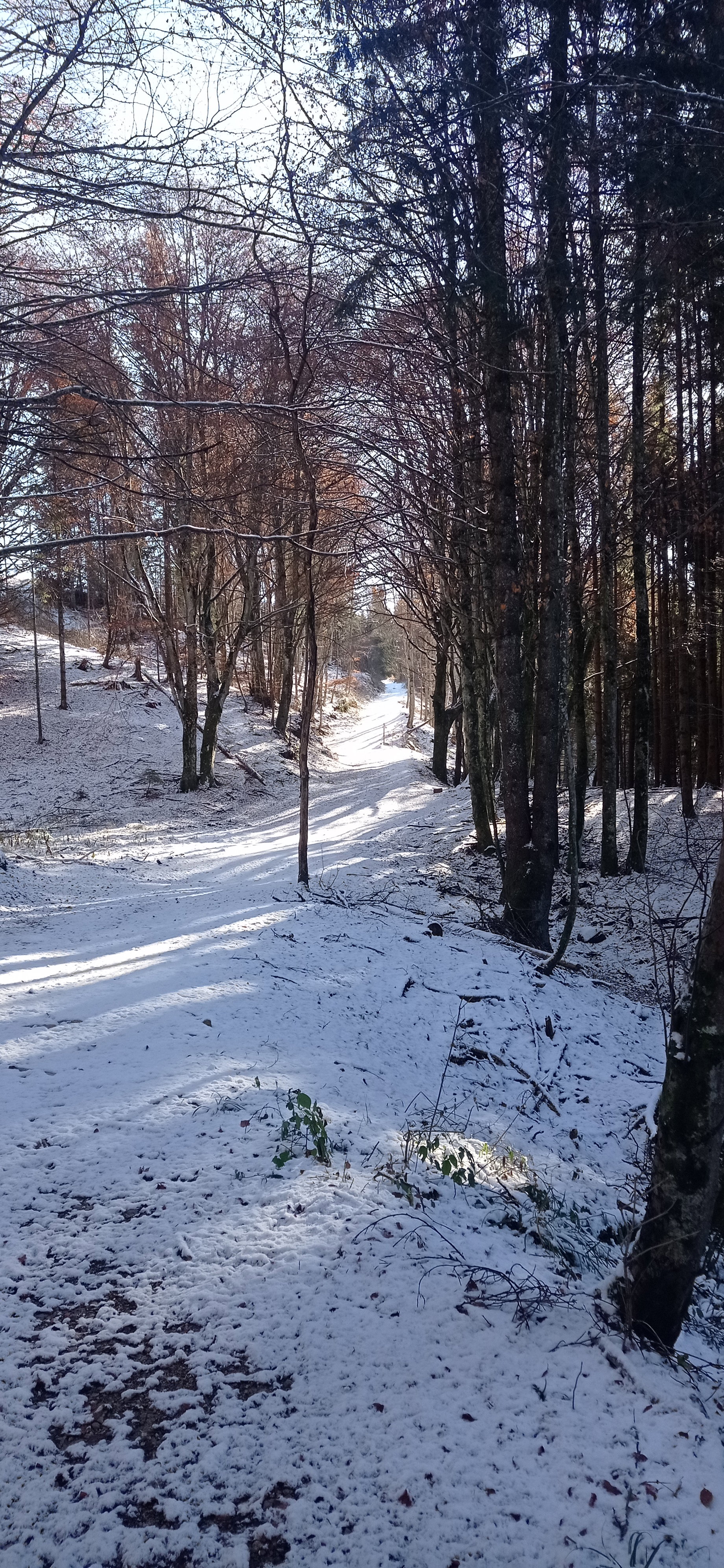 - image: 13