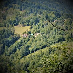 - image: 2