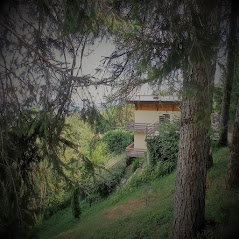 - image: 1