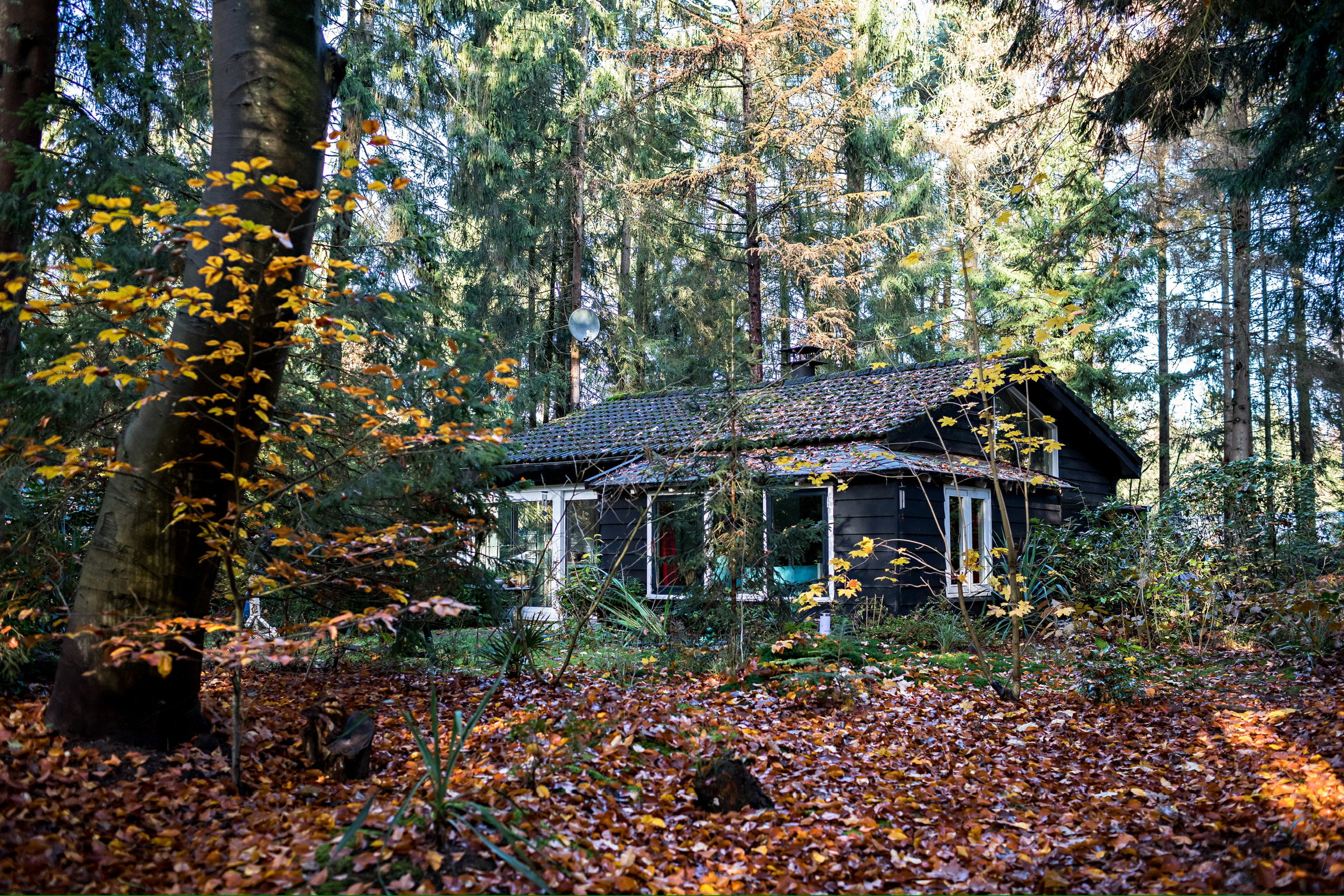 Naturhäuschen in Epe