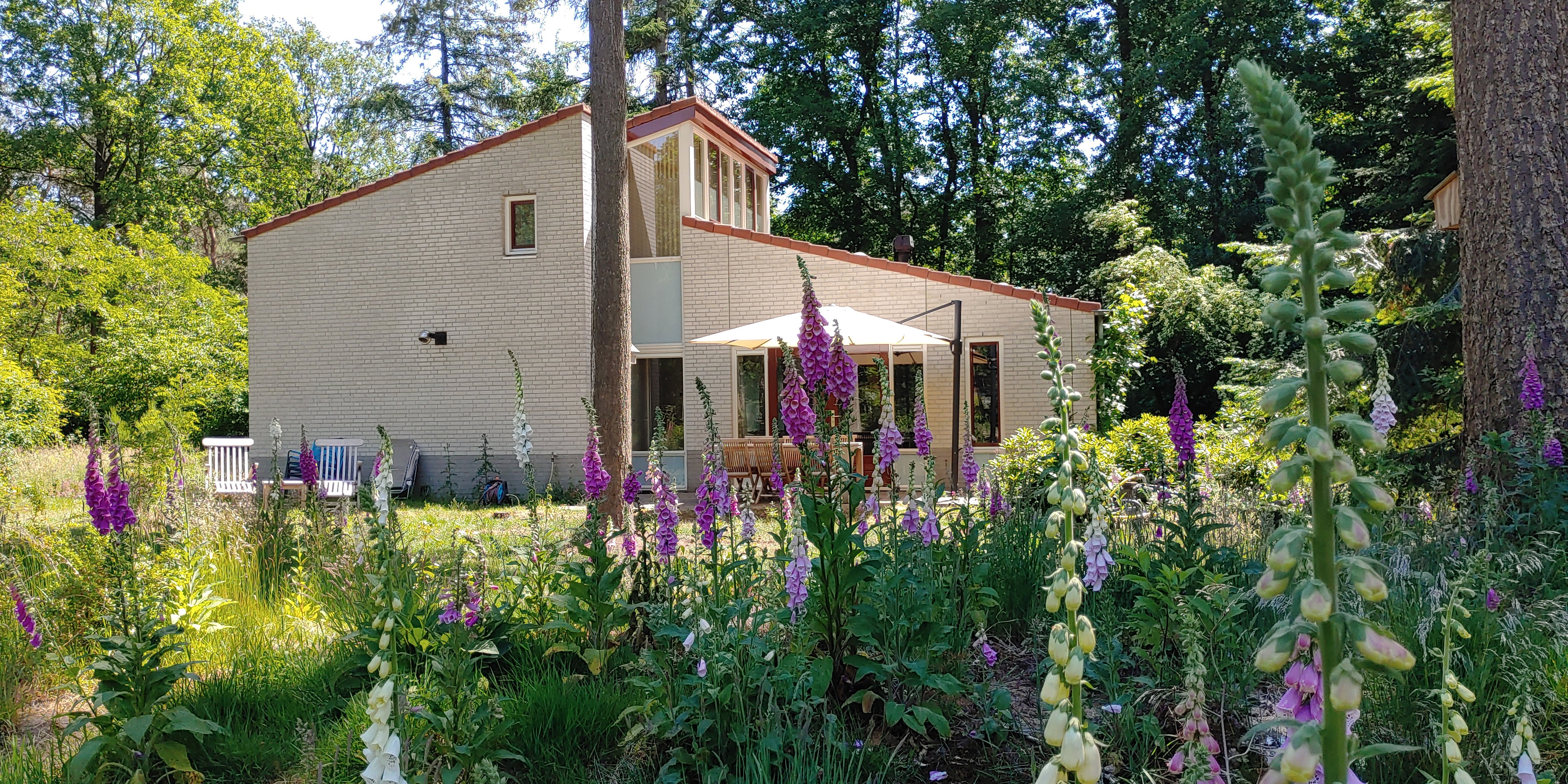 Naturhäuschen in Halle