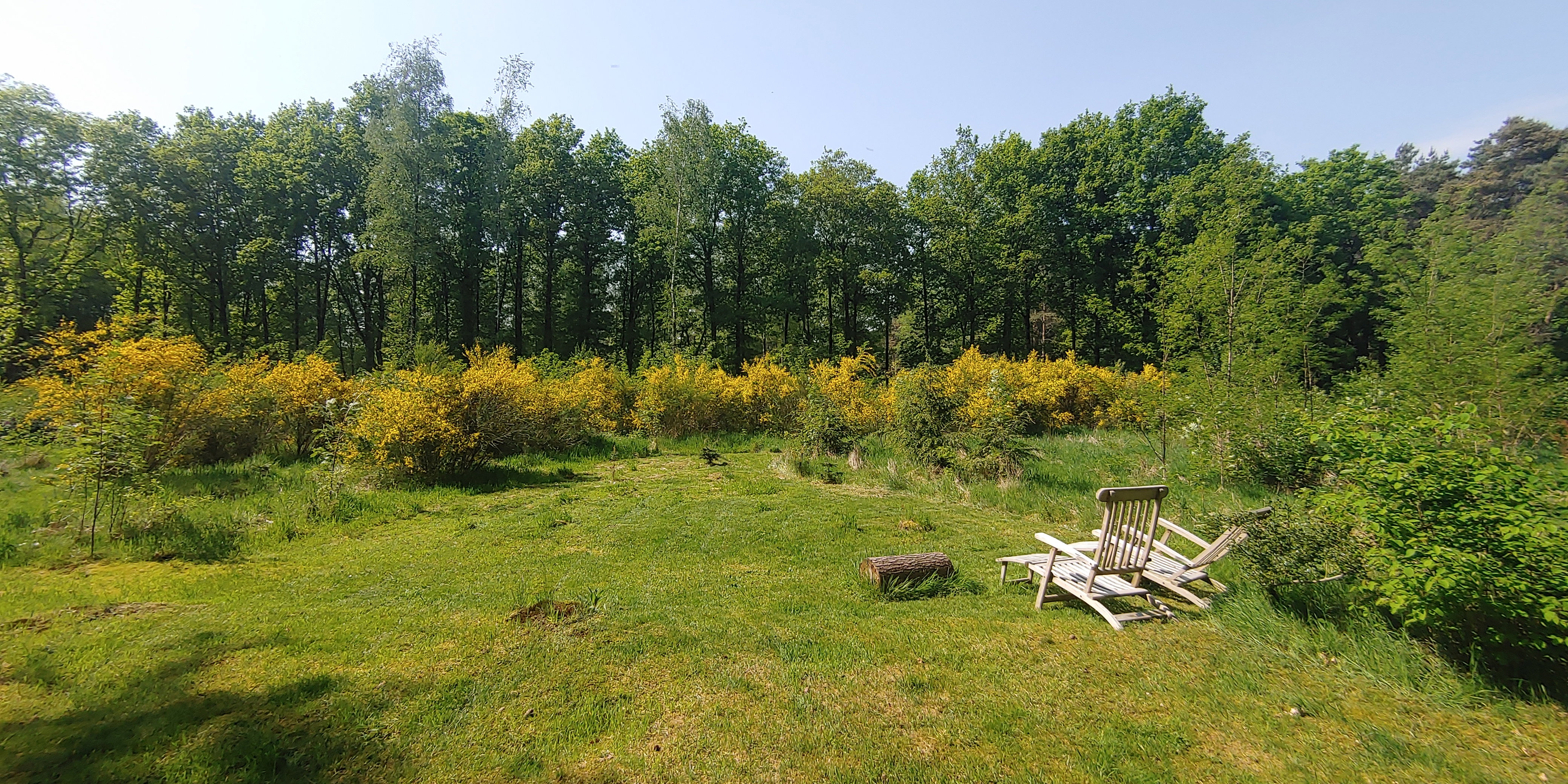 Natuurhuisje in Halle