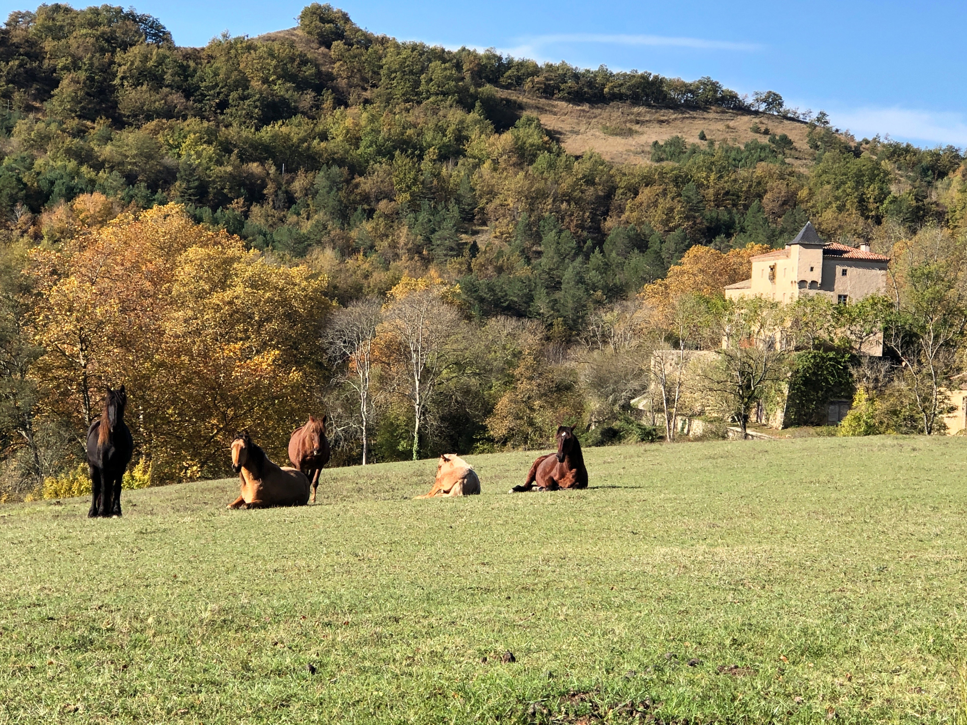 Natuurhuisje in Saint Quentin La Tour