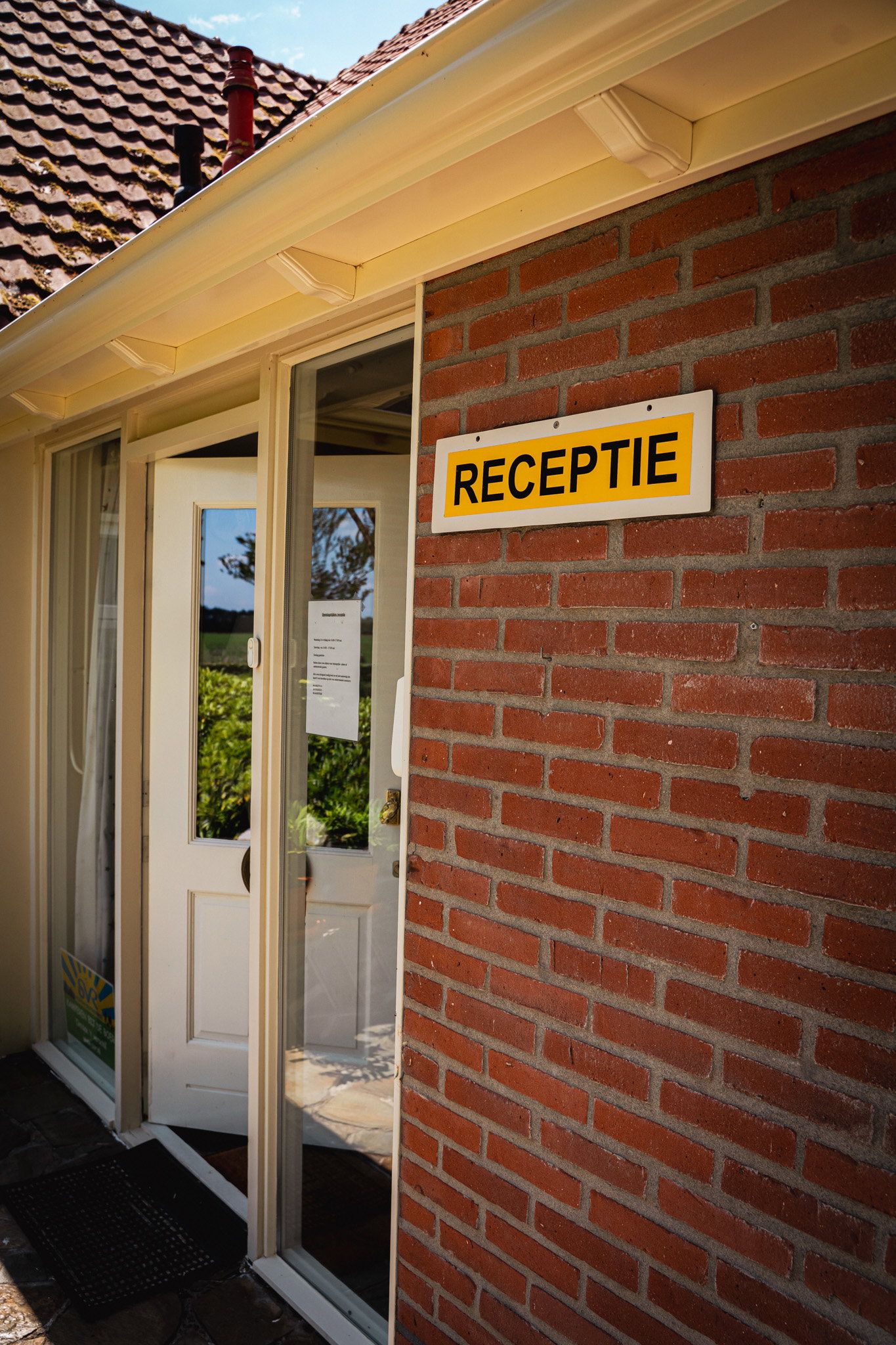 - image: 12