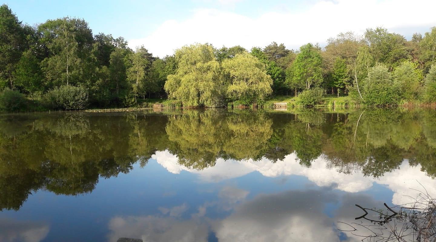 Natuurhuisje in Schijndel