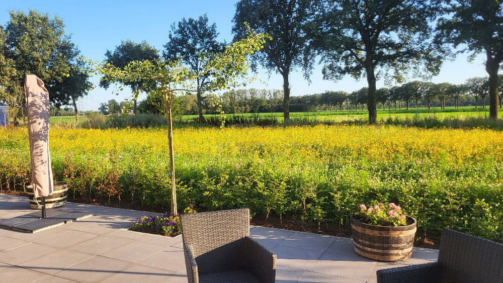 - image: 21