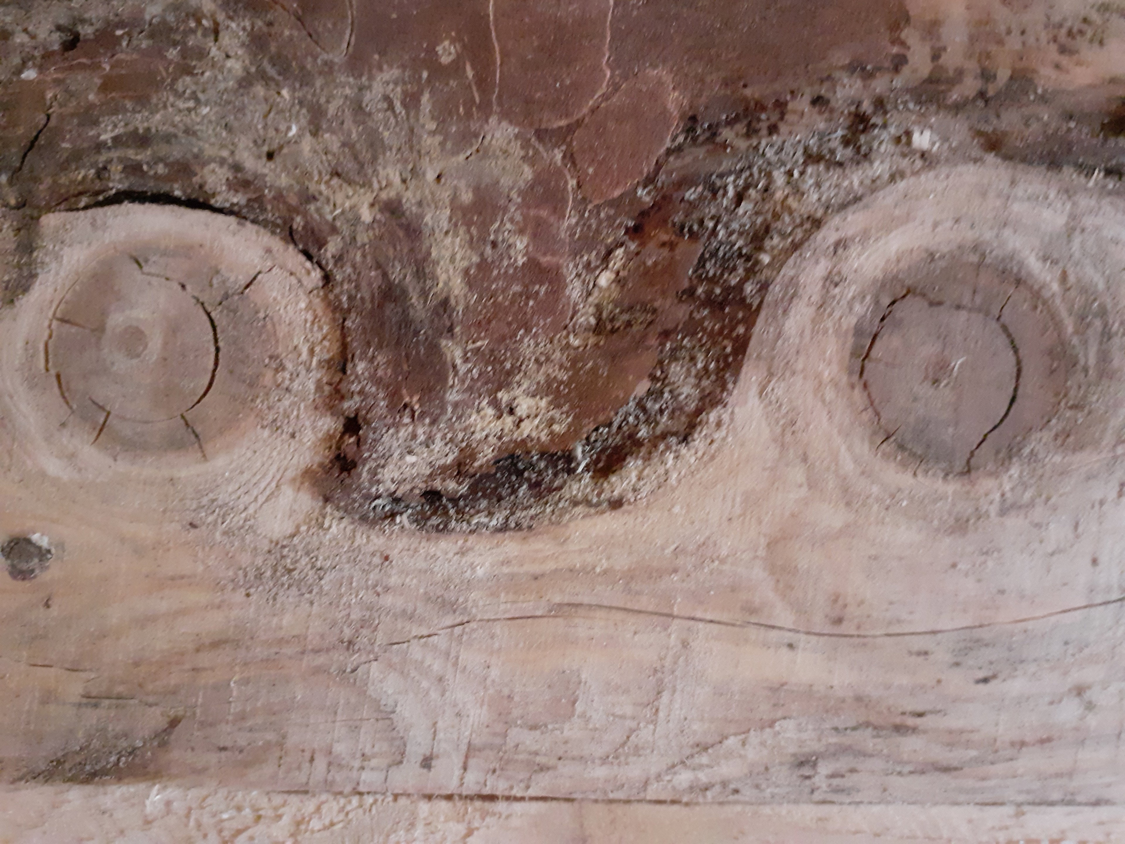 Casa nella natura a Grandmenil