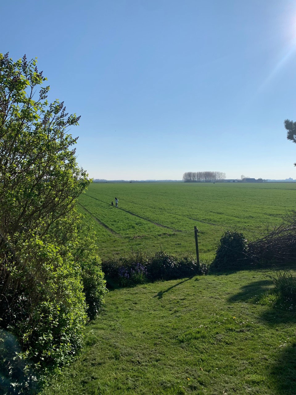 Natuurhuisje in Kamperland