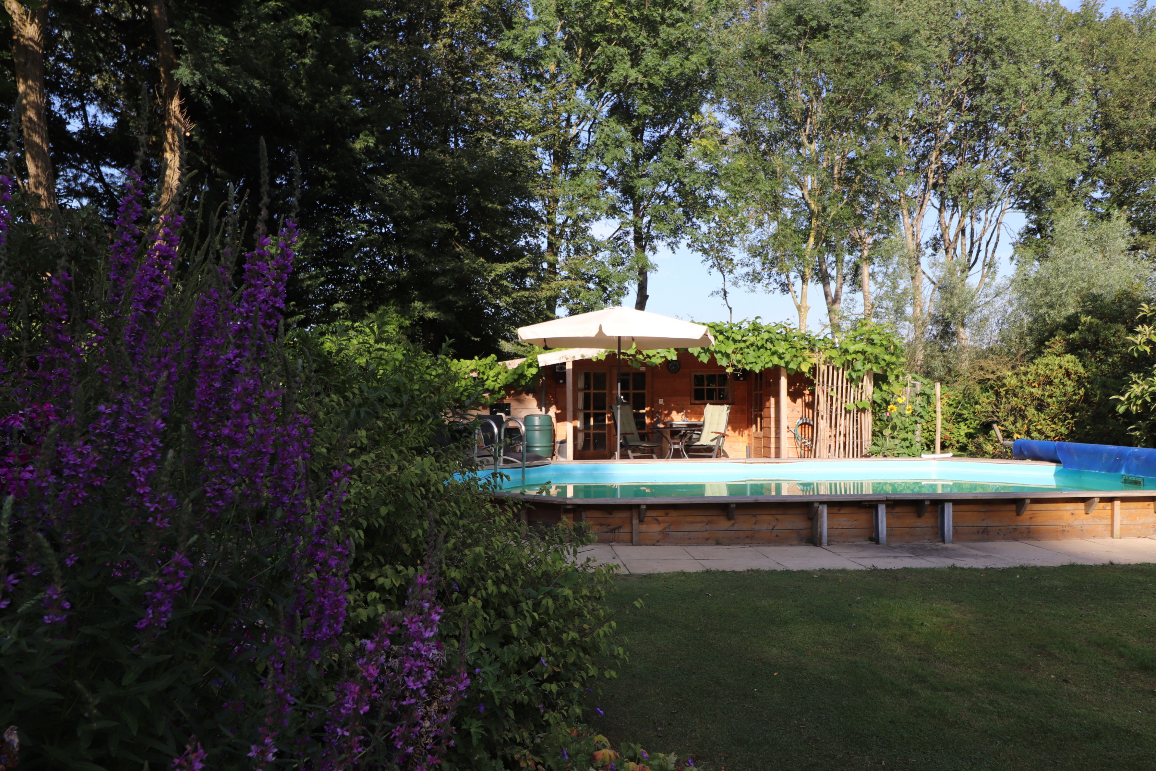 Natuurhuisje in Oosterstreek