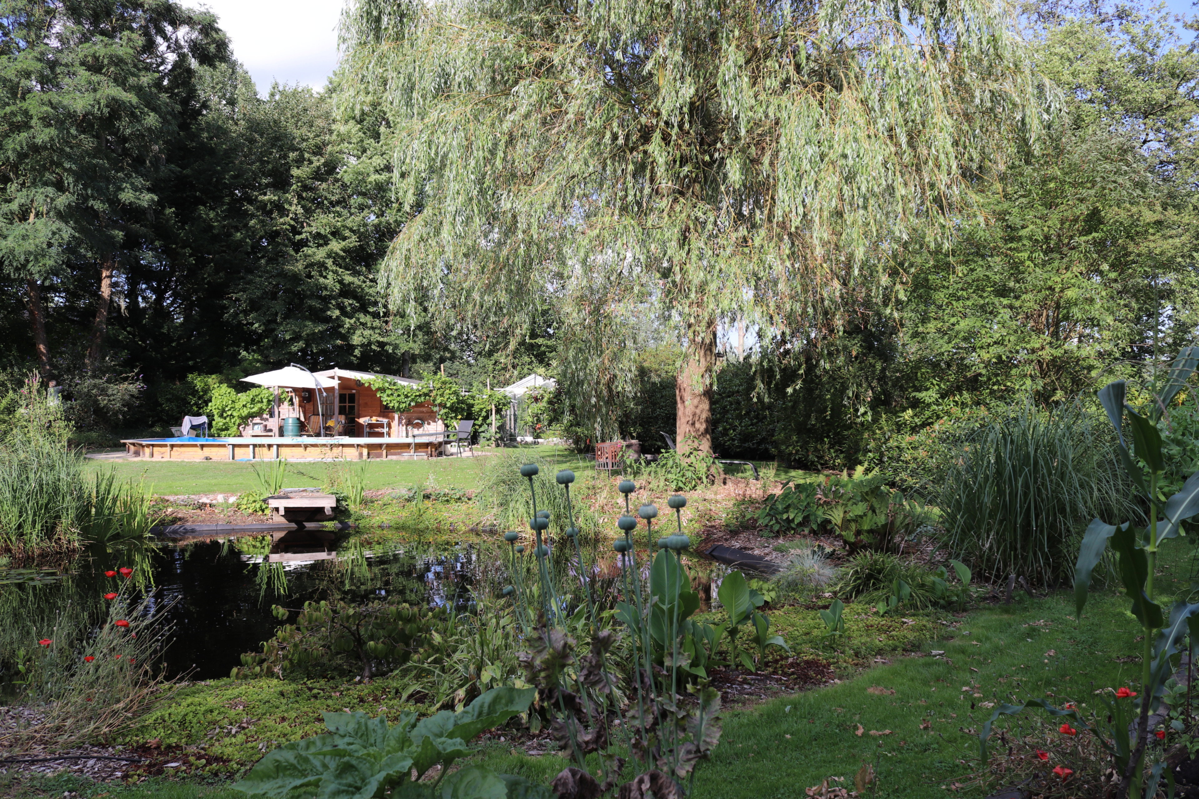 Casa nella natura a Oosterstreek