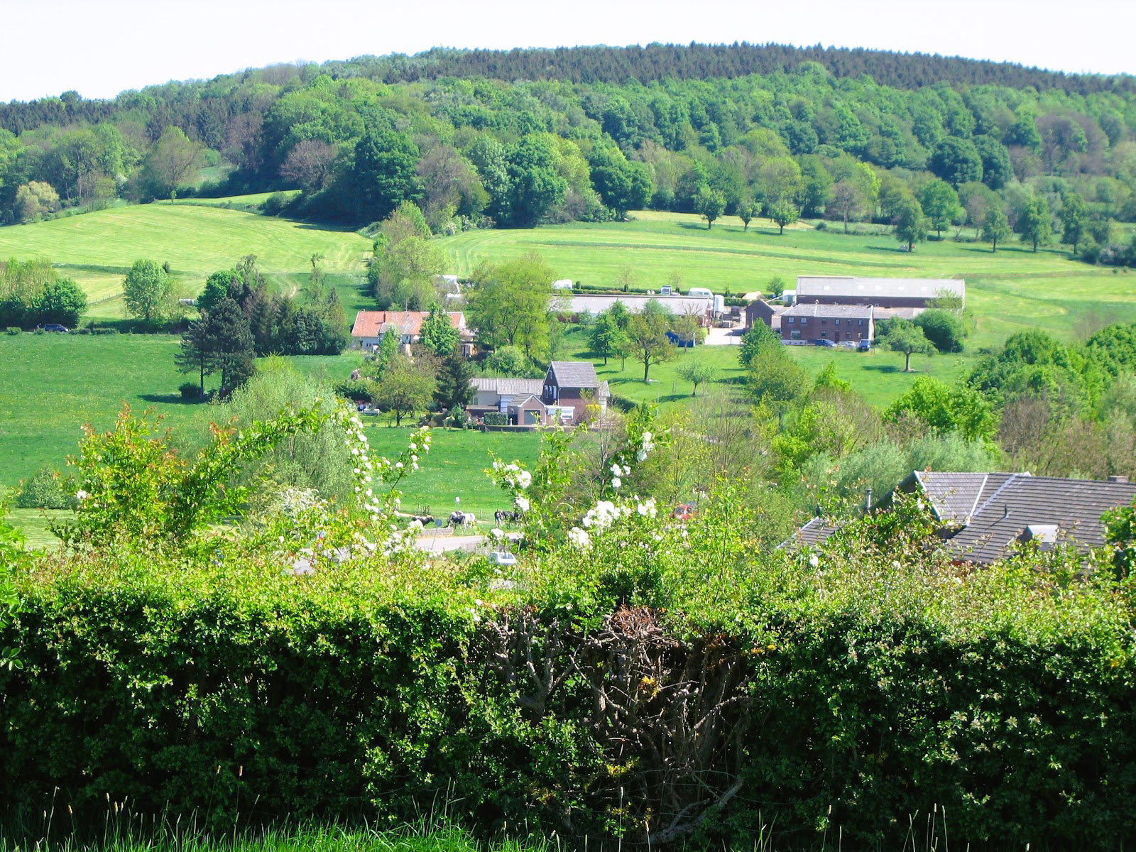 Naturhäuschen in Vijlen
