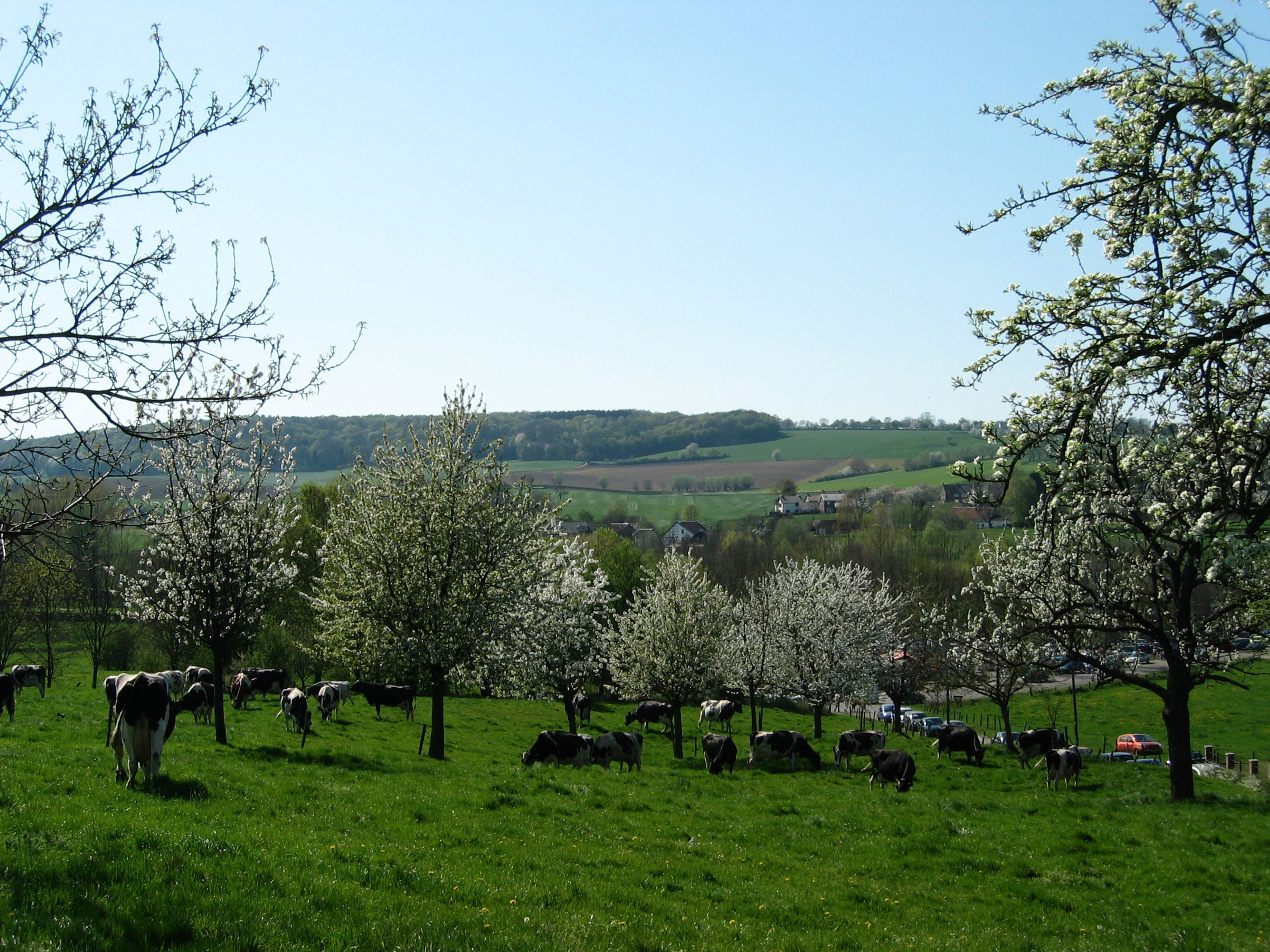 Naturhäuschen in Vijlen