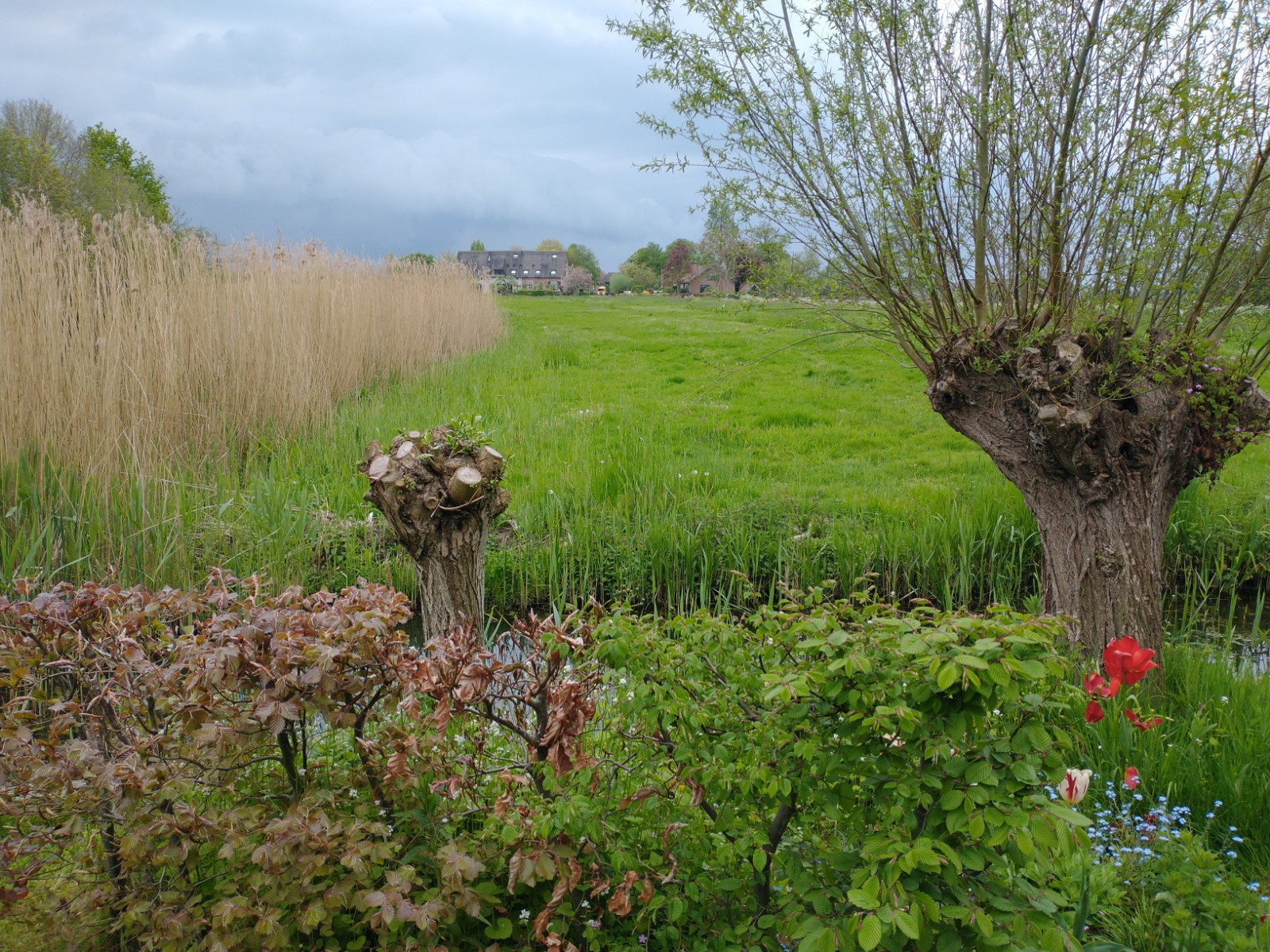 Natuurhuisje in Noordeloos