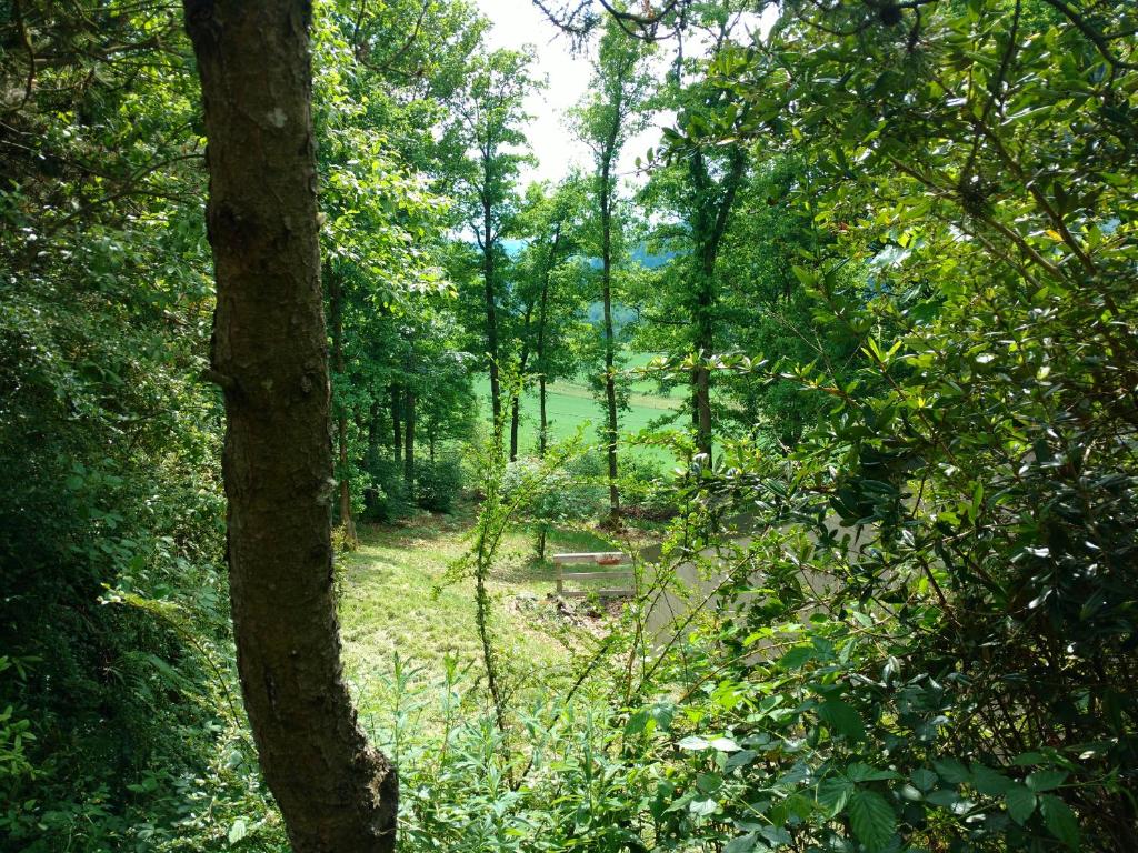Nature house in Stavelot