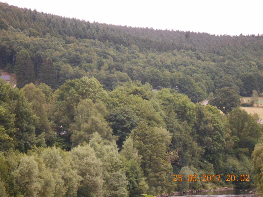 - image: 11