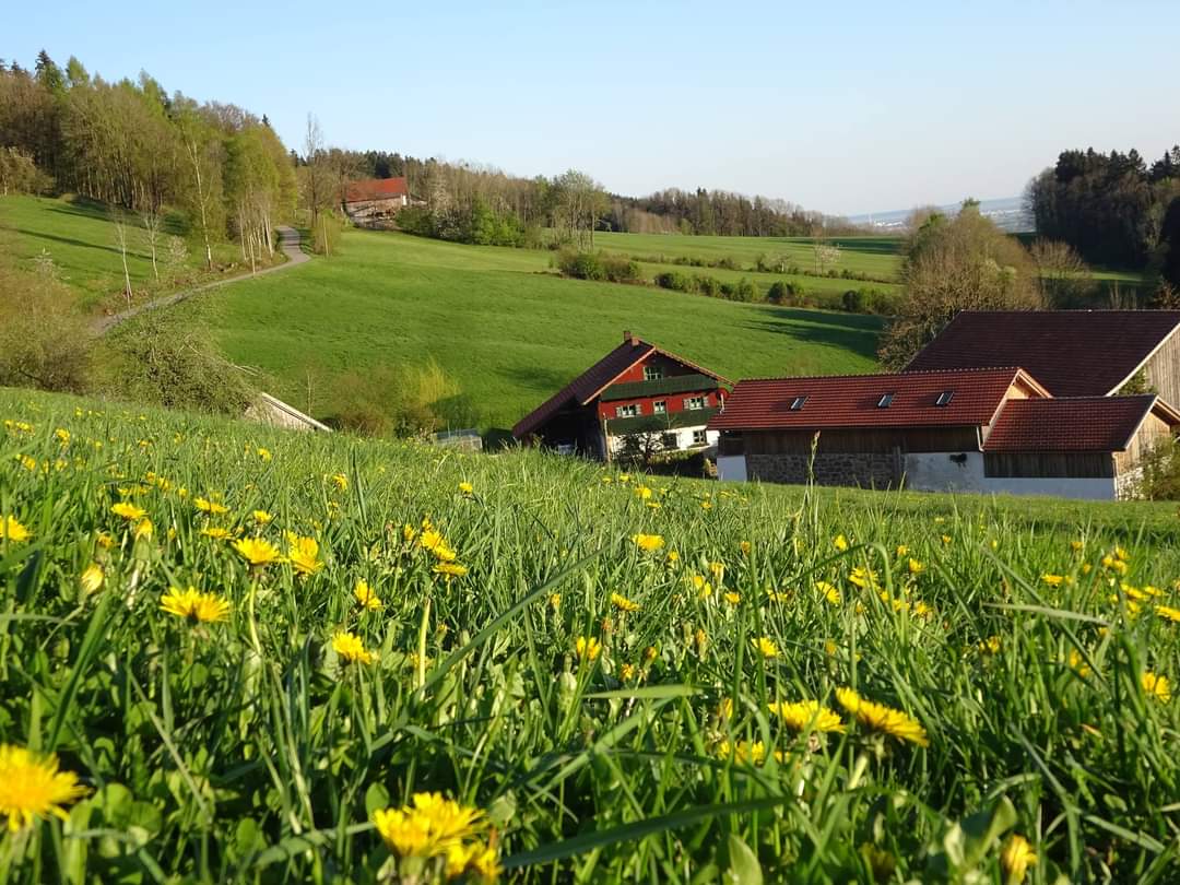 Casa nella natura a Schwarzach