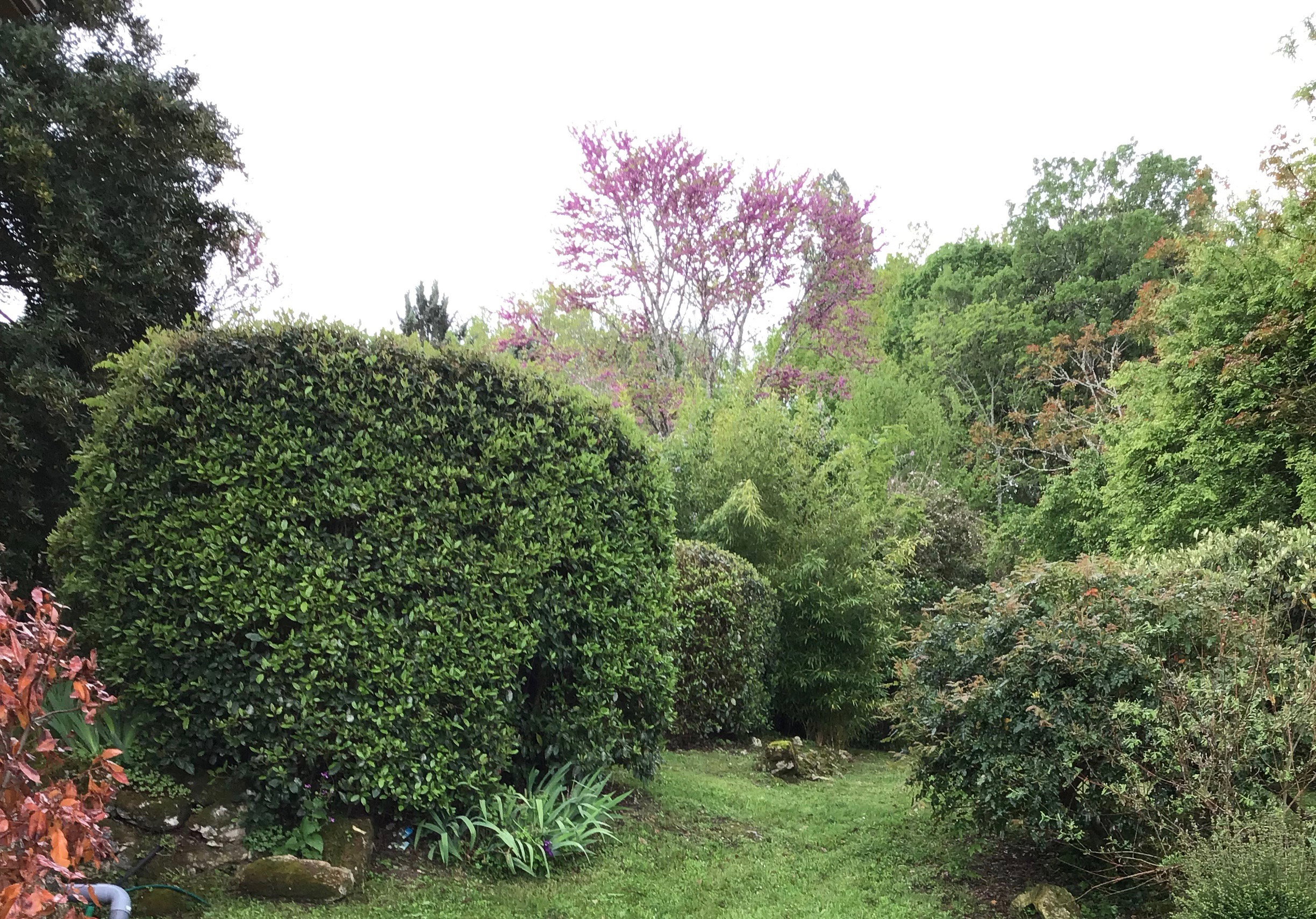 Casa nella natura a Montayral