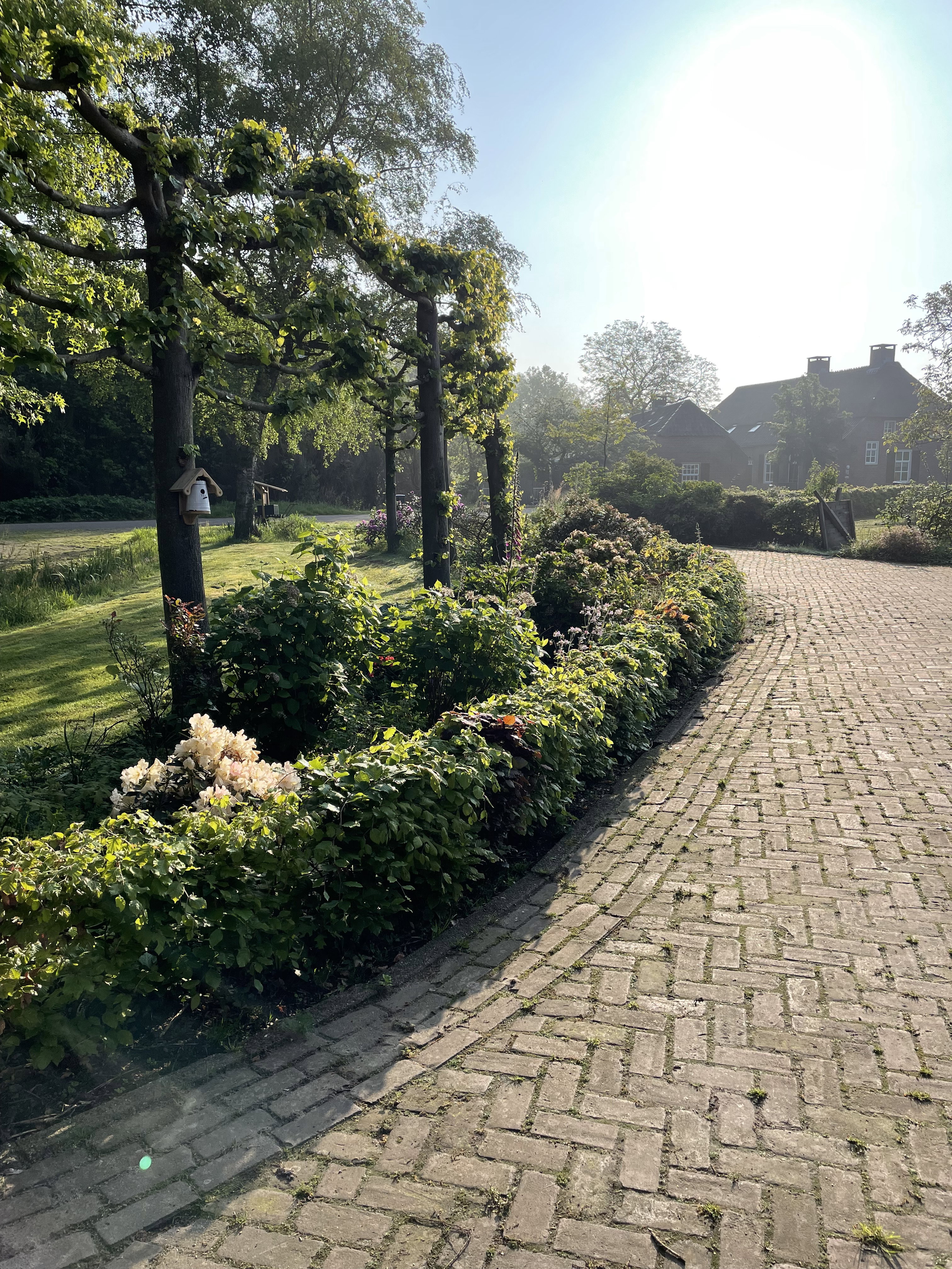 Casa nella natura a Oirschot