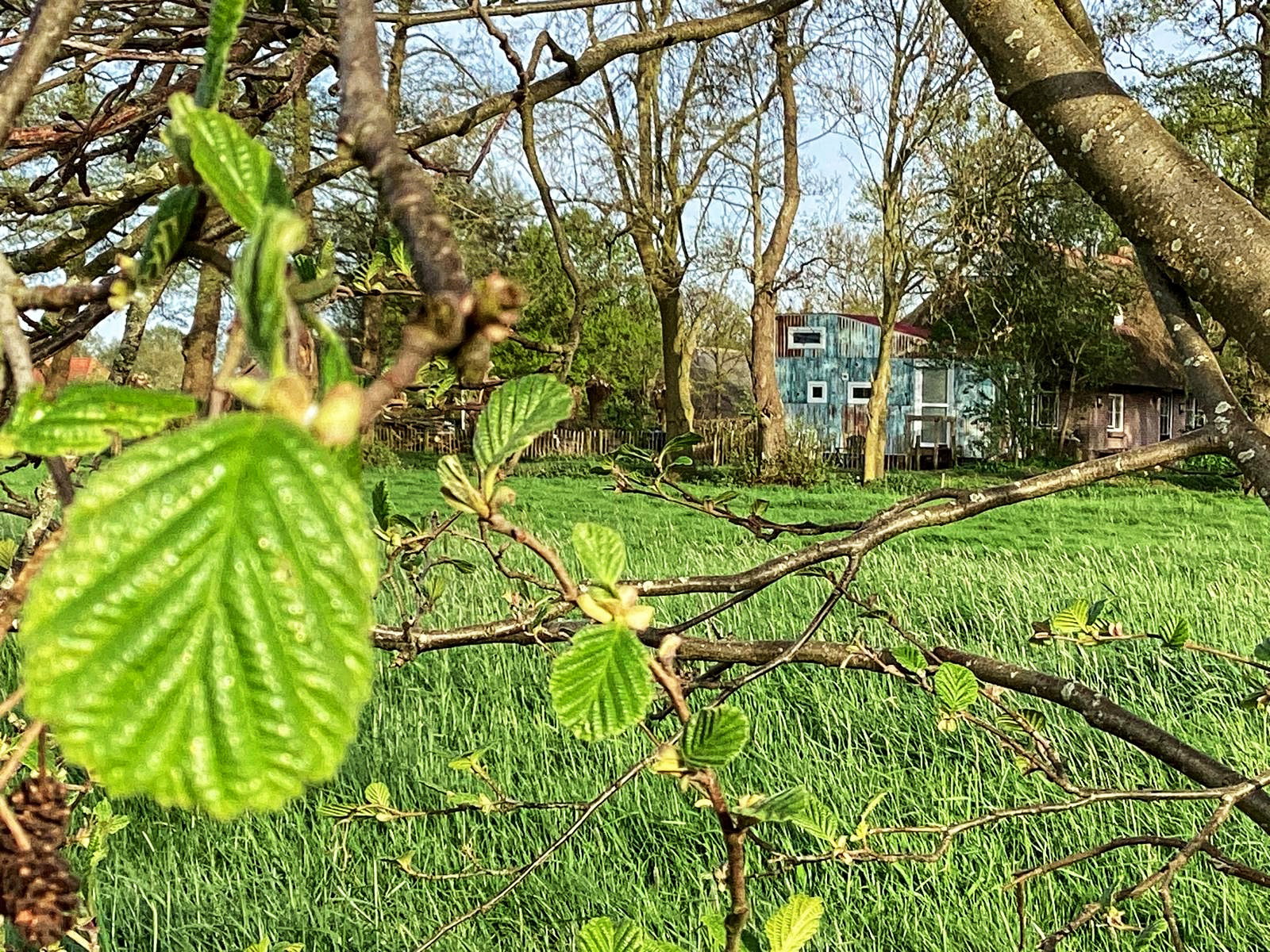 Naturhäuschen in Doornspijk