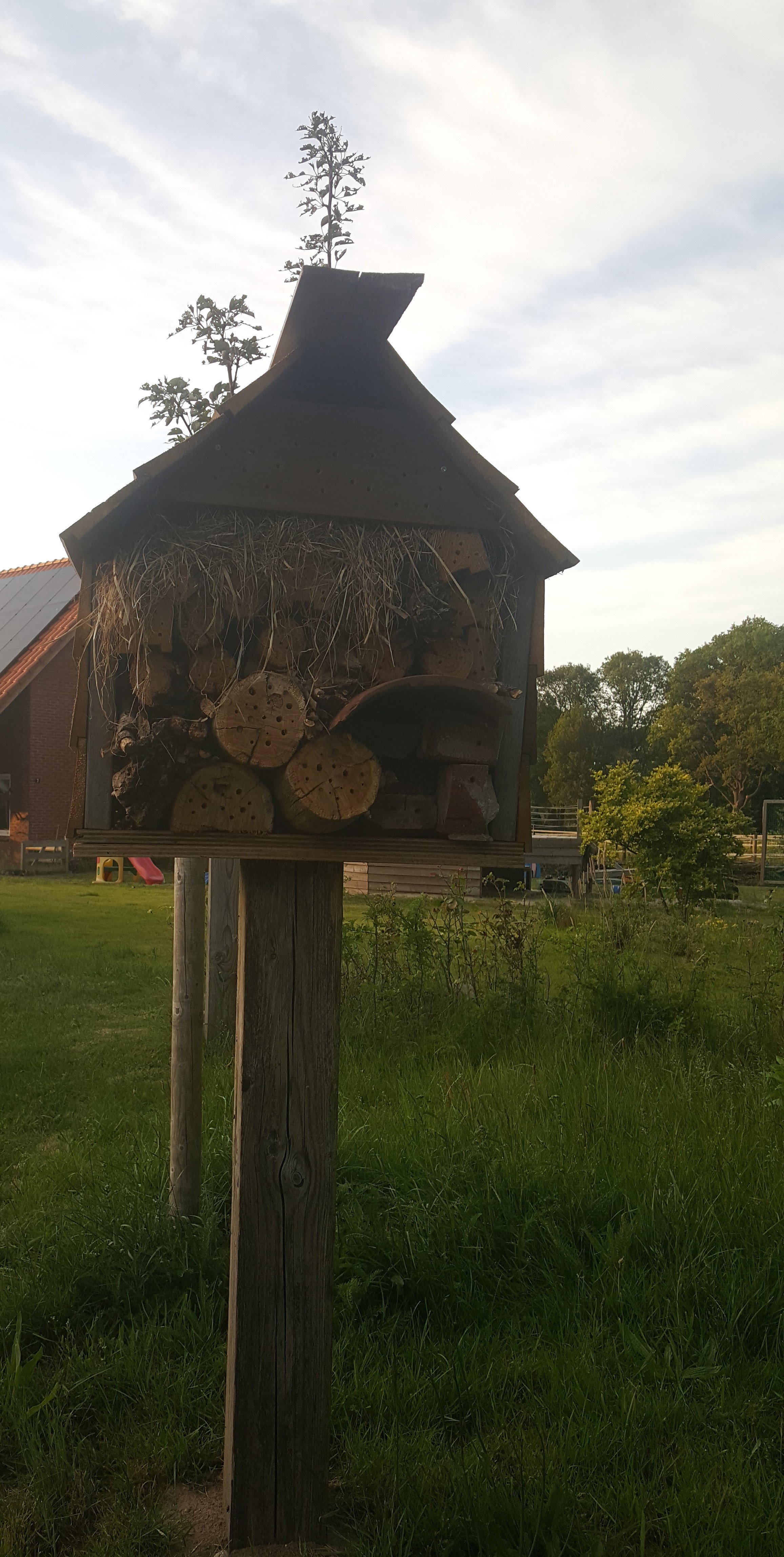 Naturhäuschen in Eibergen