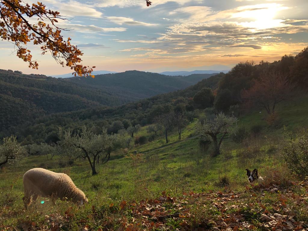 Casa nella natura a Tatti (Massa Marittima)