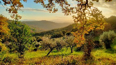 Casa nella natura a Tatti (Massa Marittima)