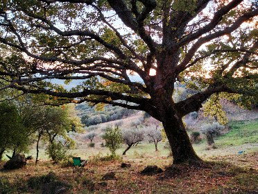 Casa nella natura a Tatti (Massa Marittima)