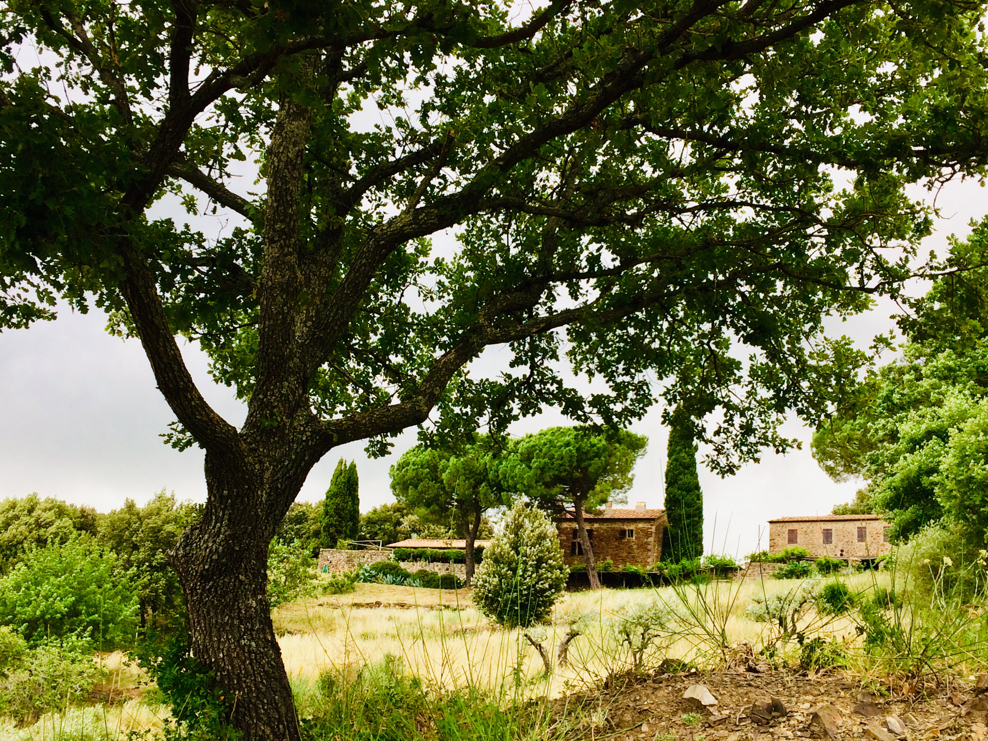 Casa nella natura a Tatti (Massa Marittima)