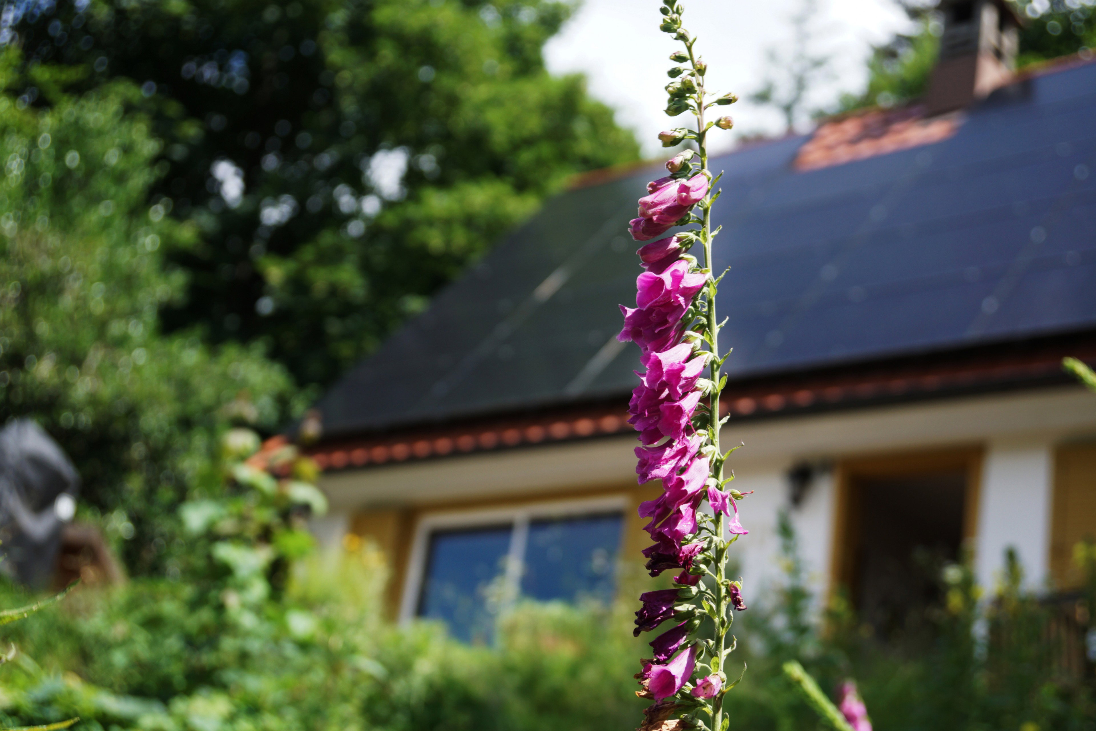 Maison nature à Sasbachwalden