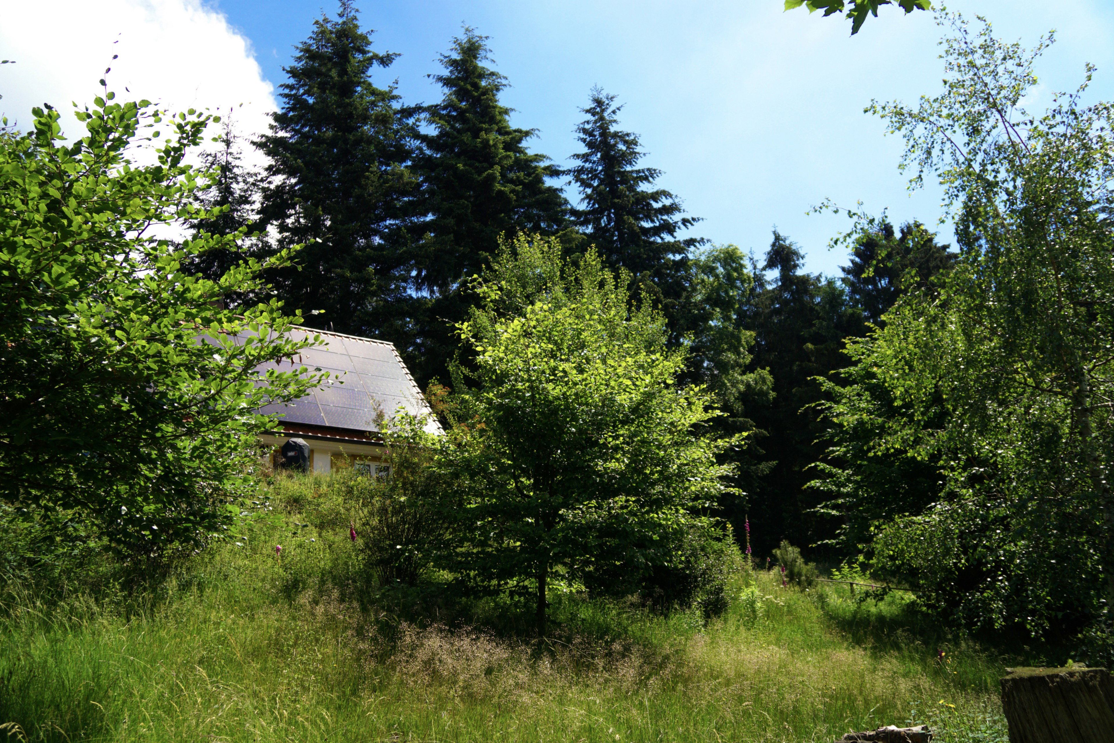 Maison nature à Sasbachwalden