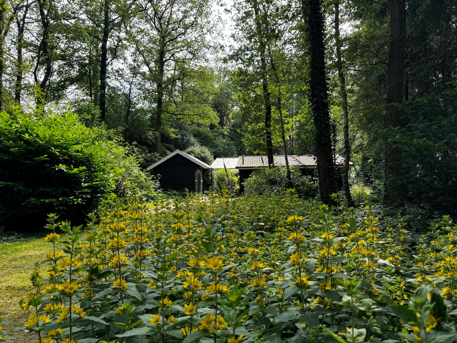Natuurhuisje in Norg