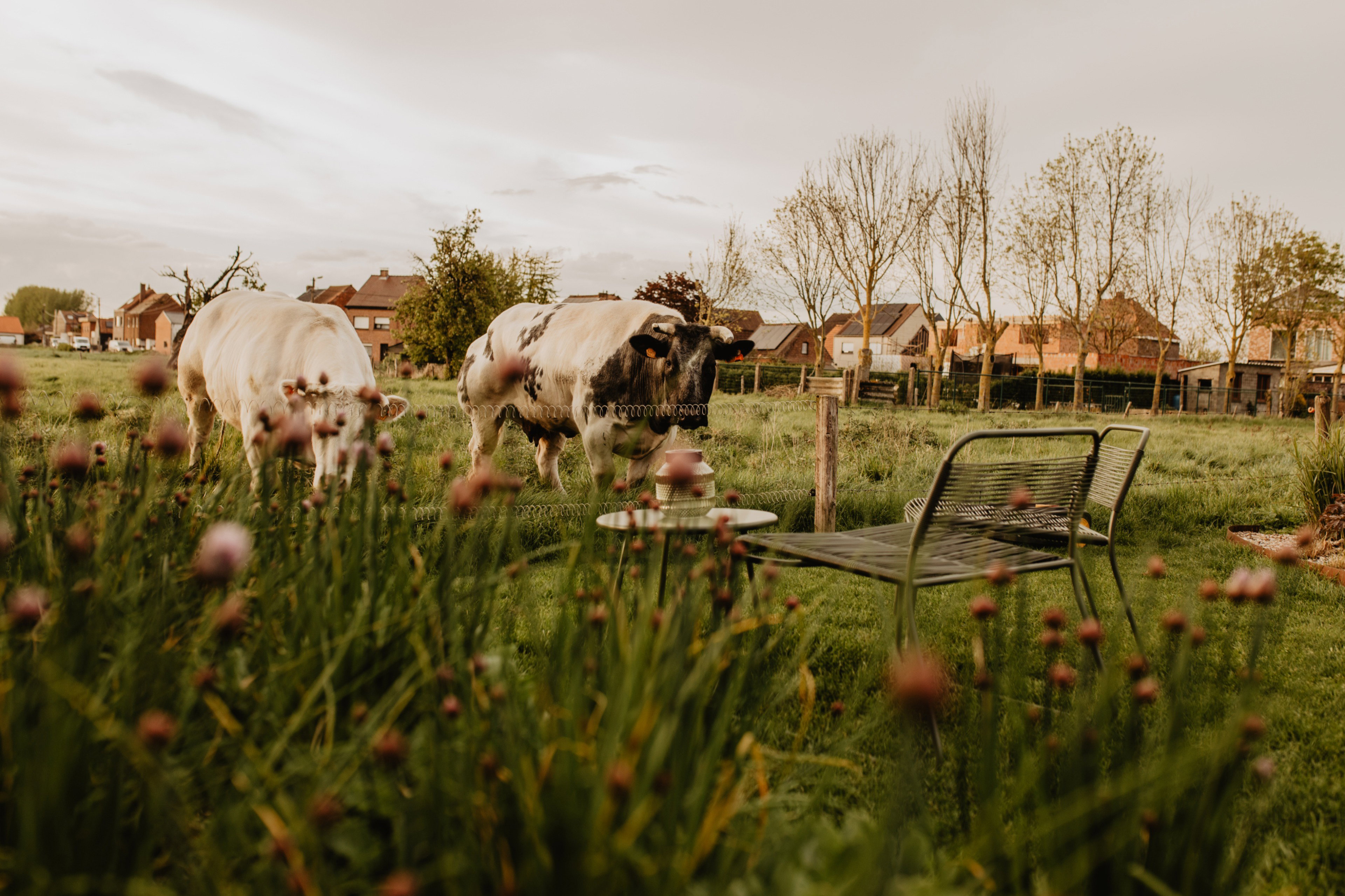 Naturhäuschen in Waterland-Oudeman