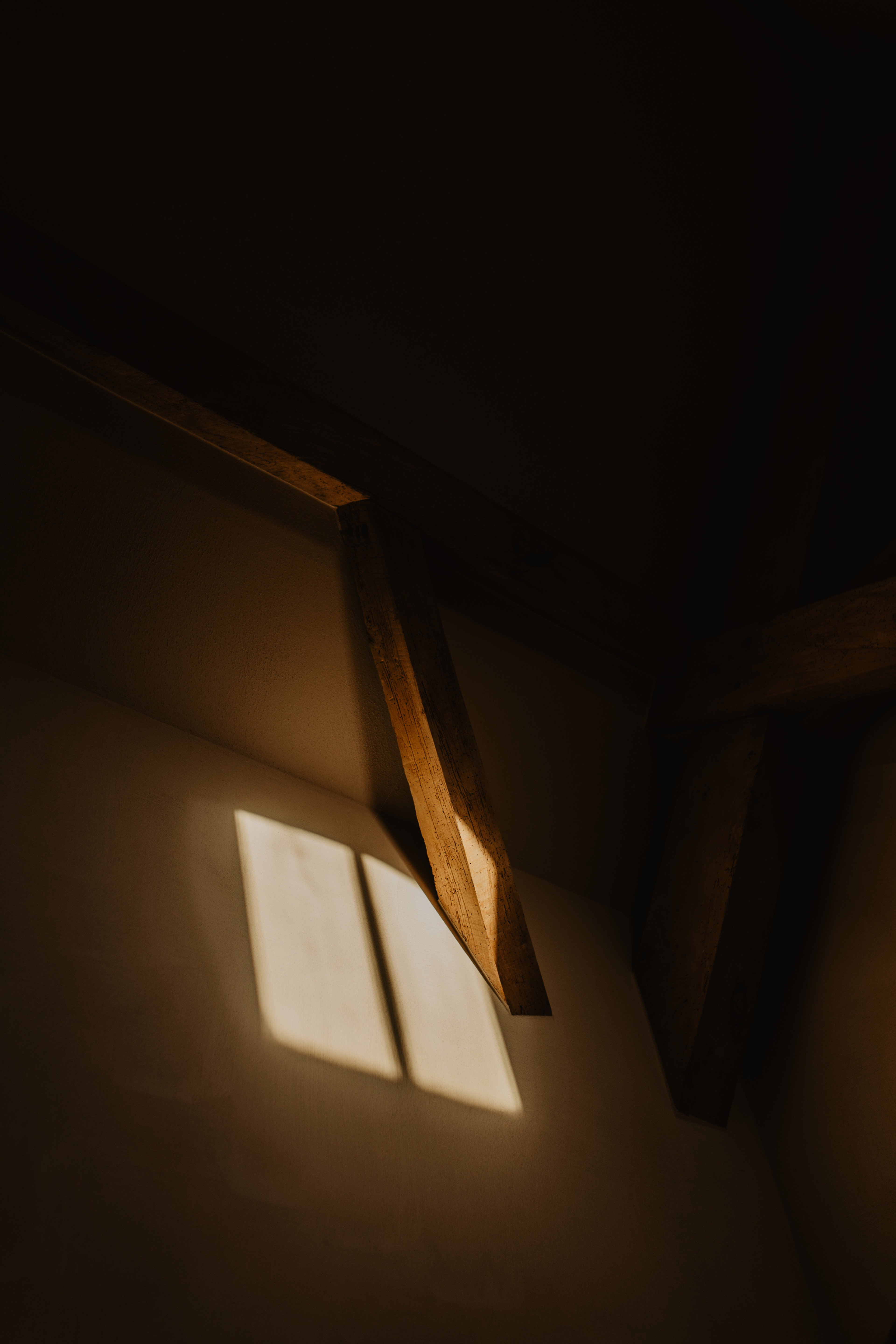 - image: 11