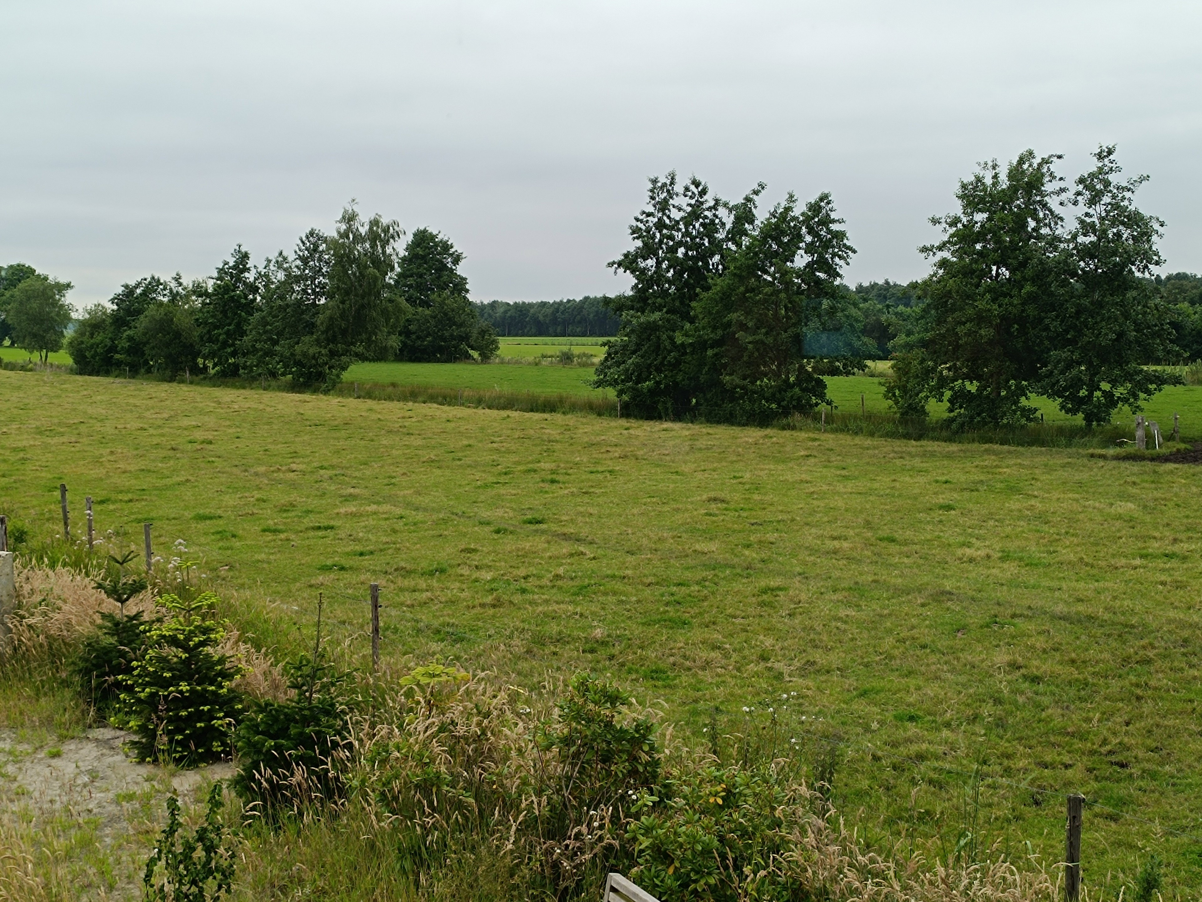 Natuurhuisje in Ruinerwold