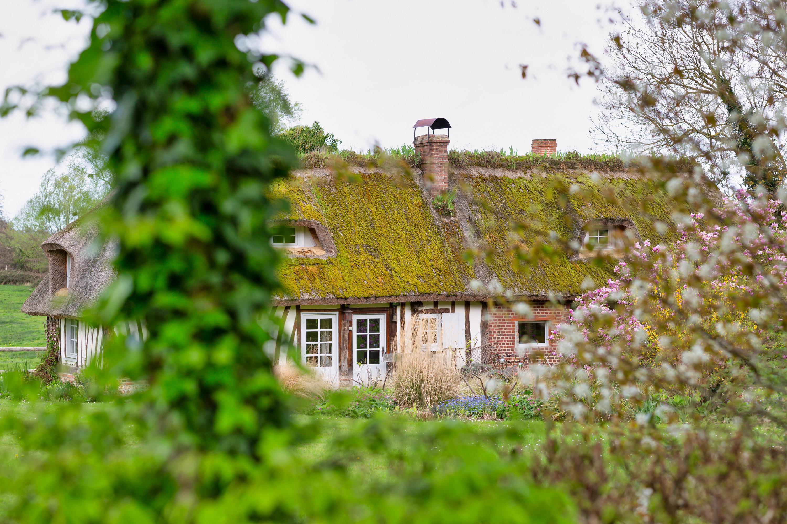 - image: 65
