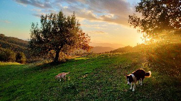 Casa nella natura a Tatti (Massa Marittima)