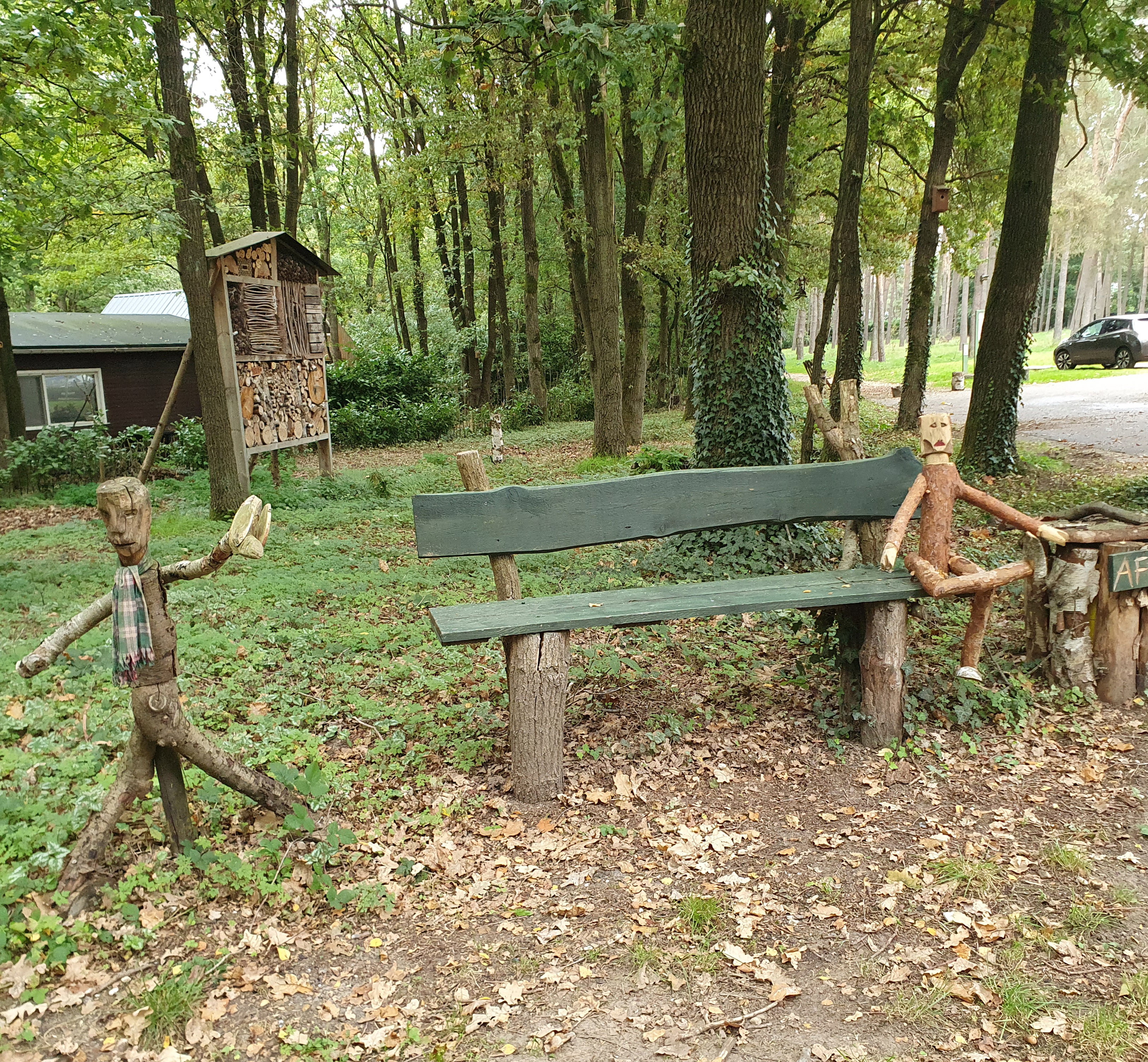 - image: 20