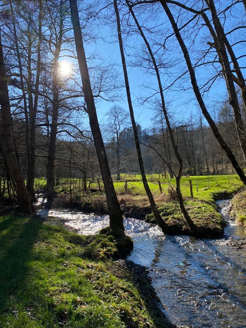 Casa nella natura a La roche-en-ardenne