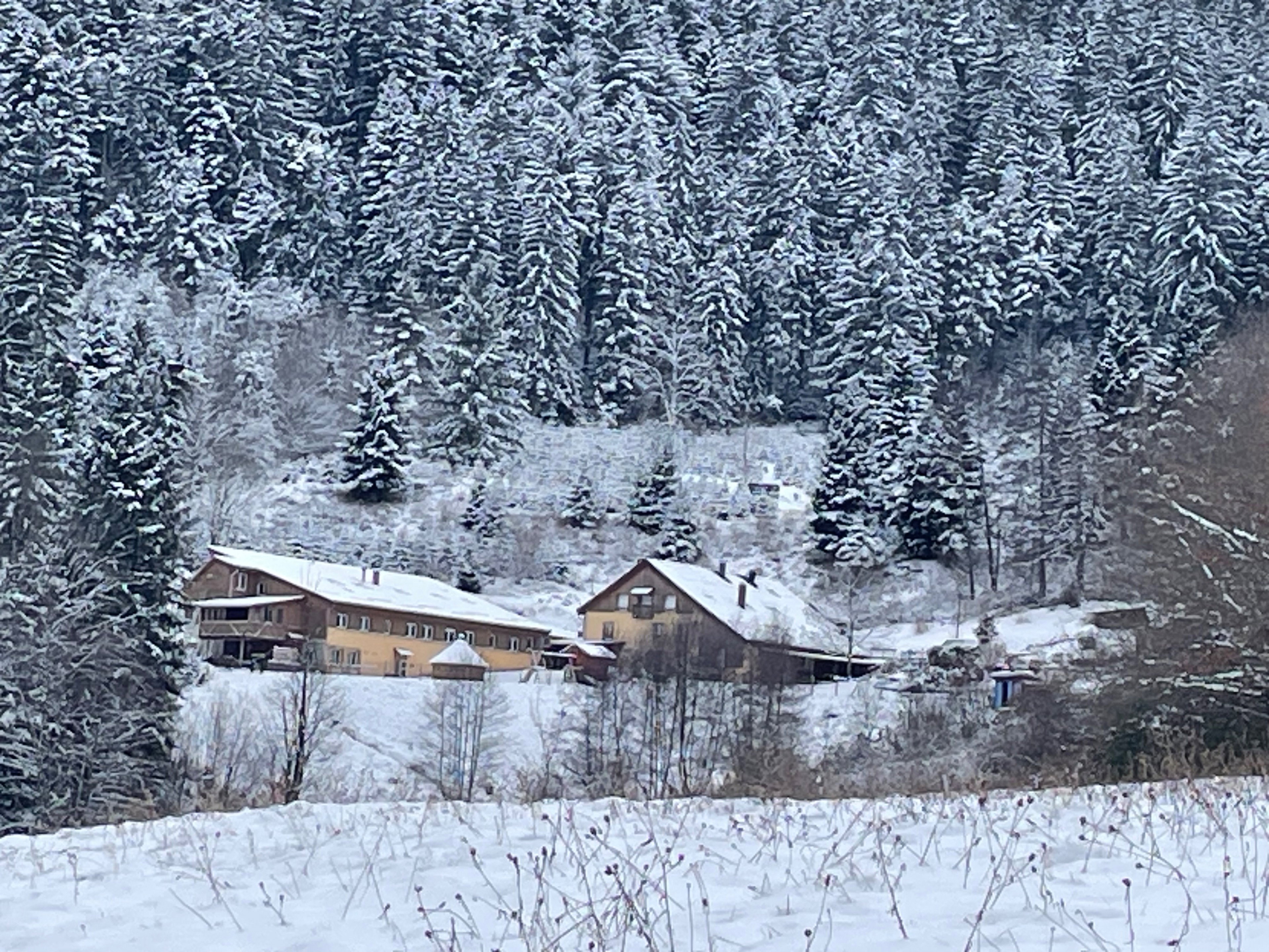 - image: 24