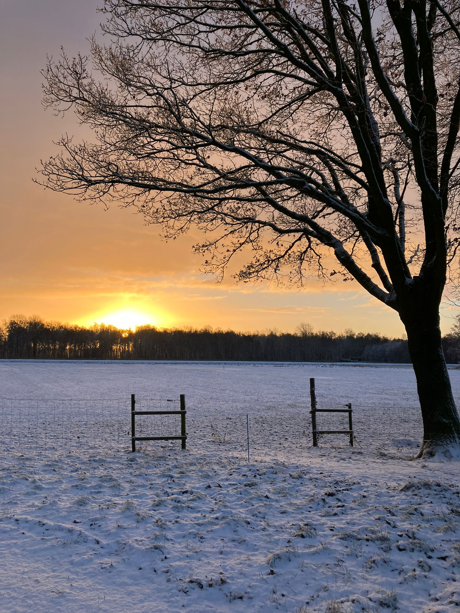 Maison nature à Bruchterveld