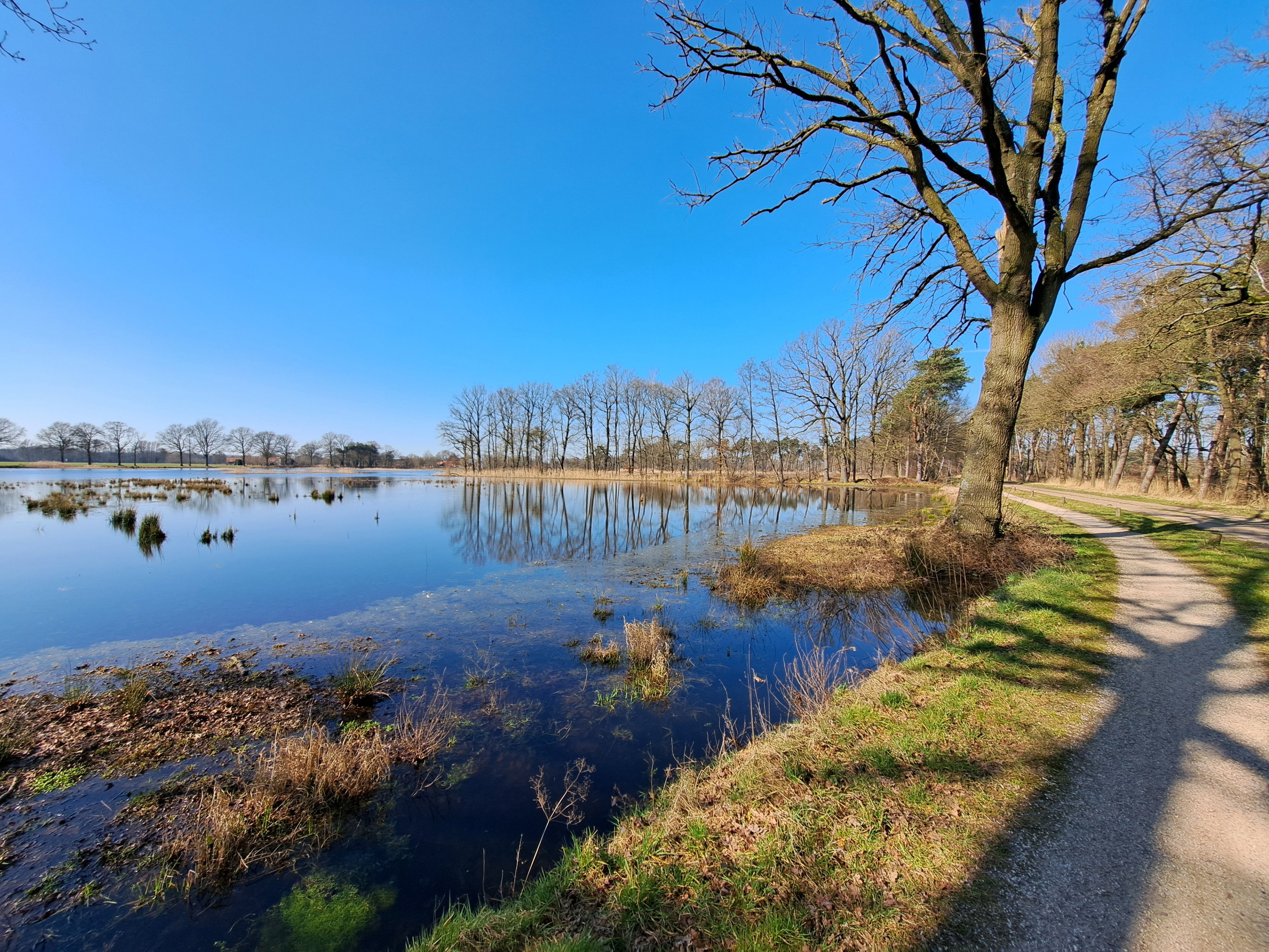 - image: 28