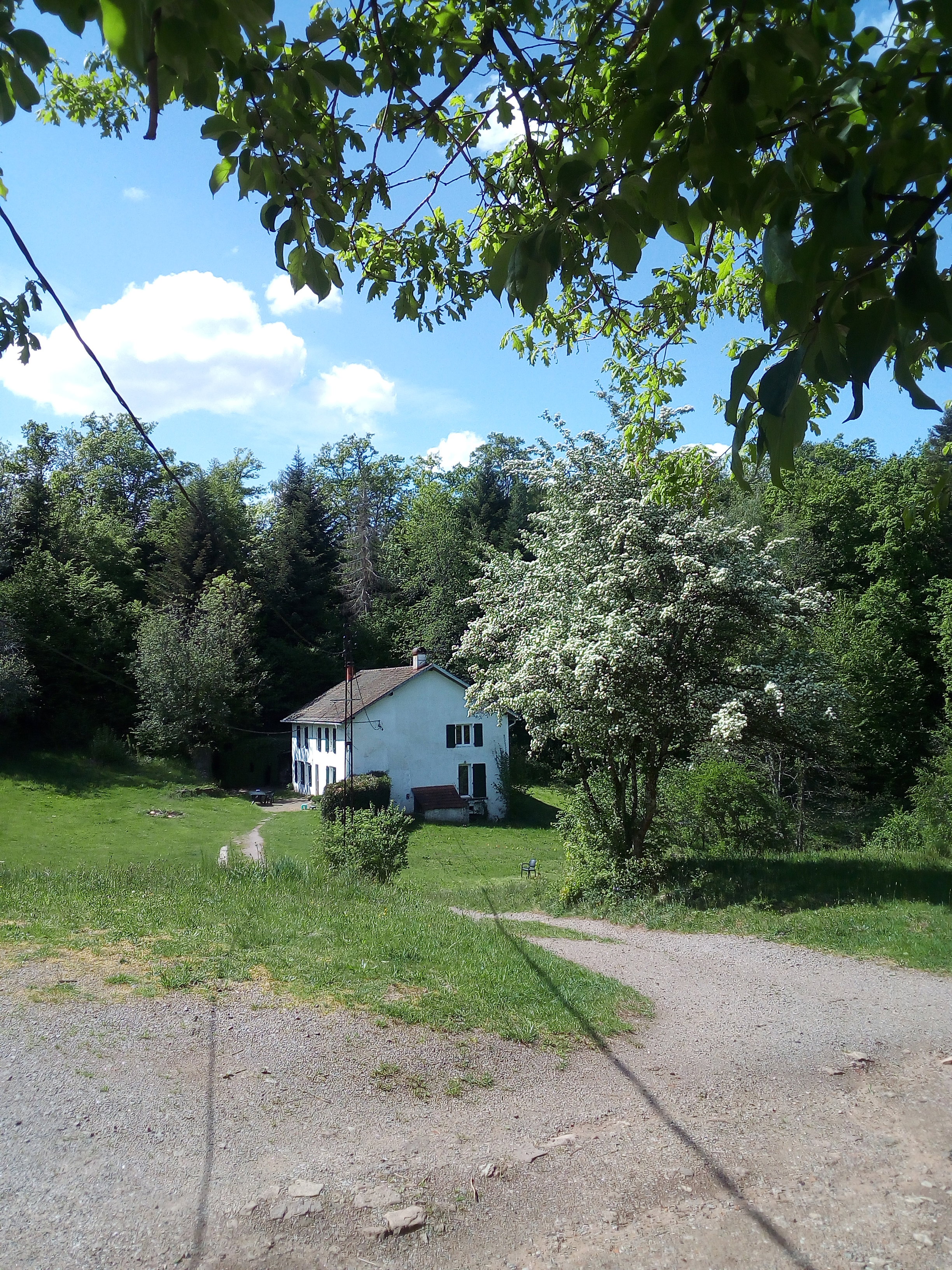 Maison nature à Vieux-Moulin