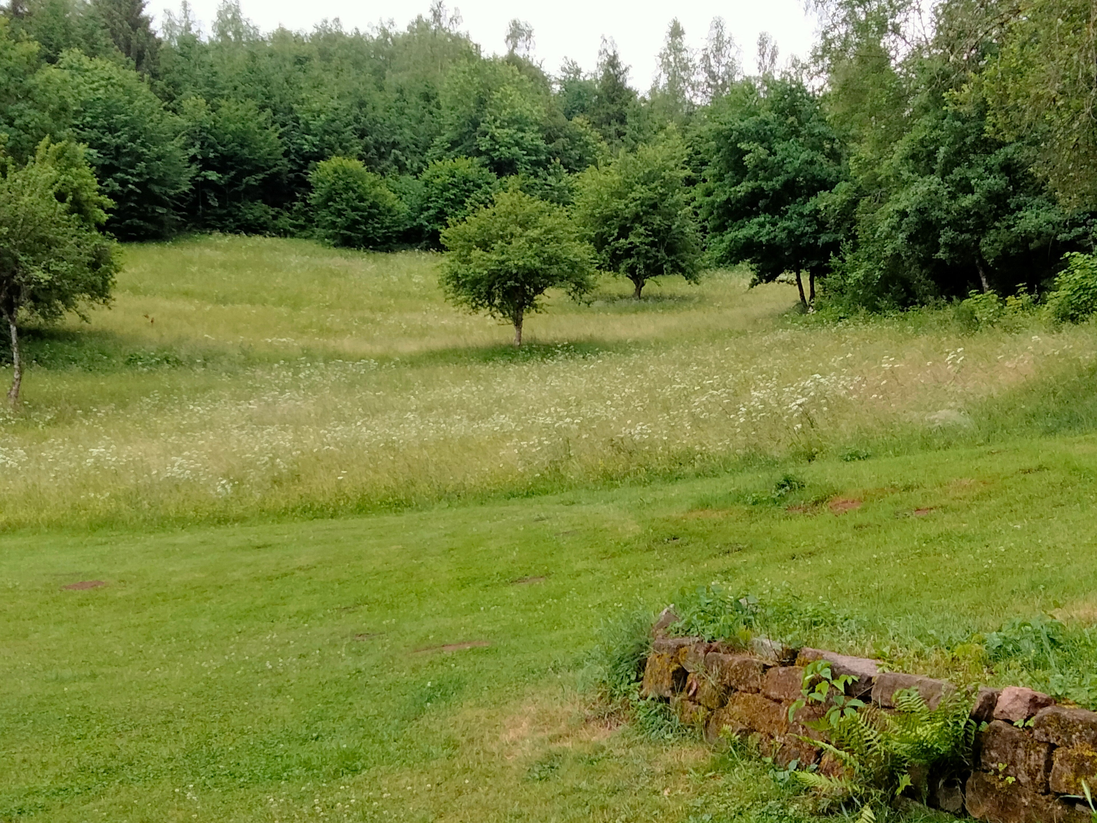 Natuurhuisje in Vieux-Moulin