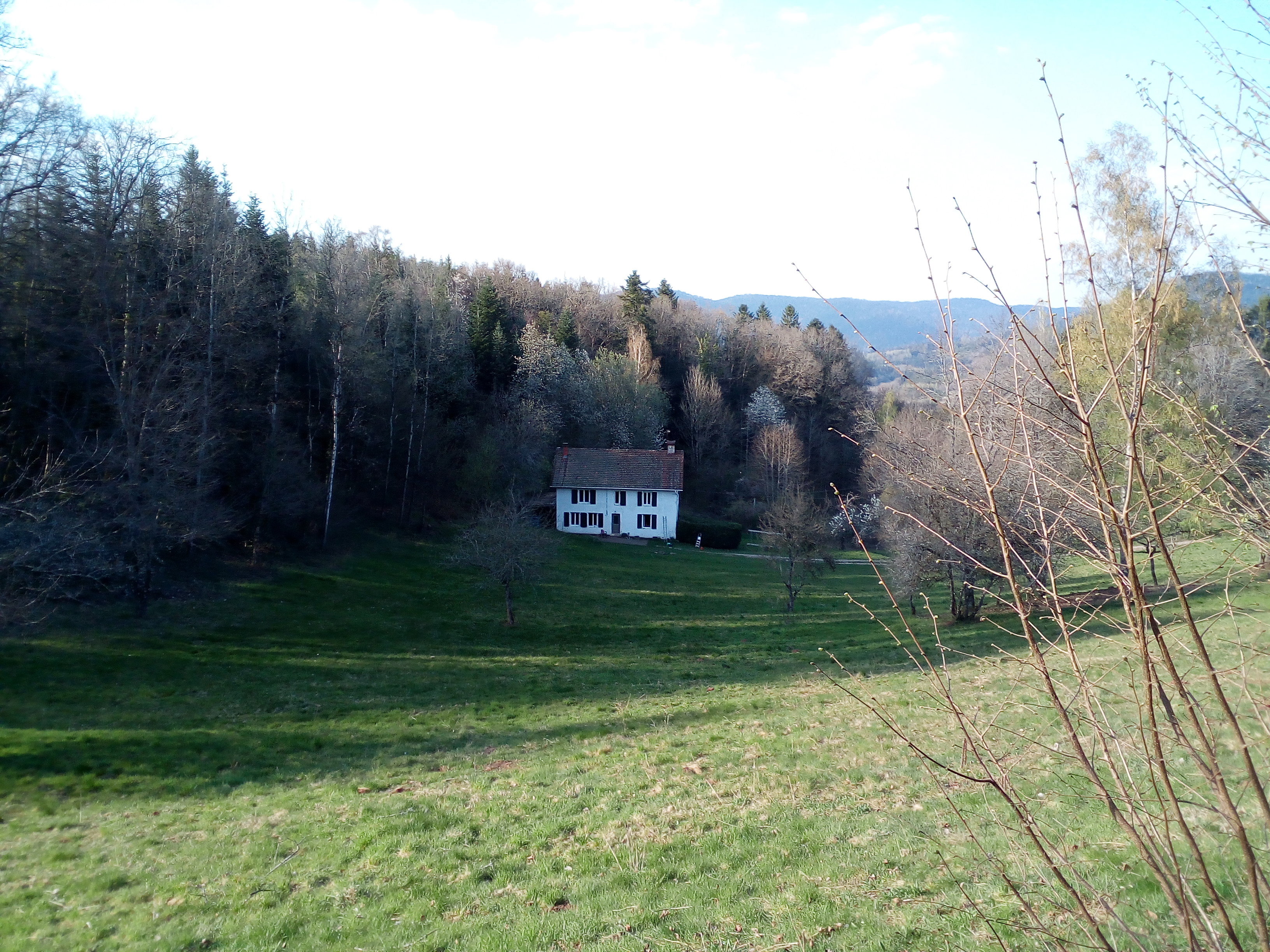 - image: 11