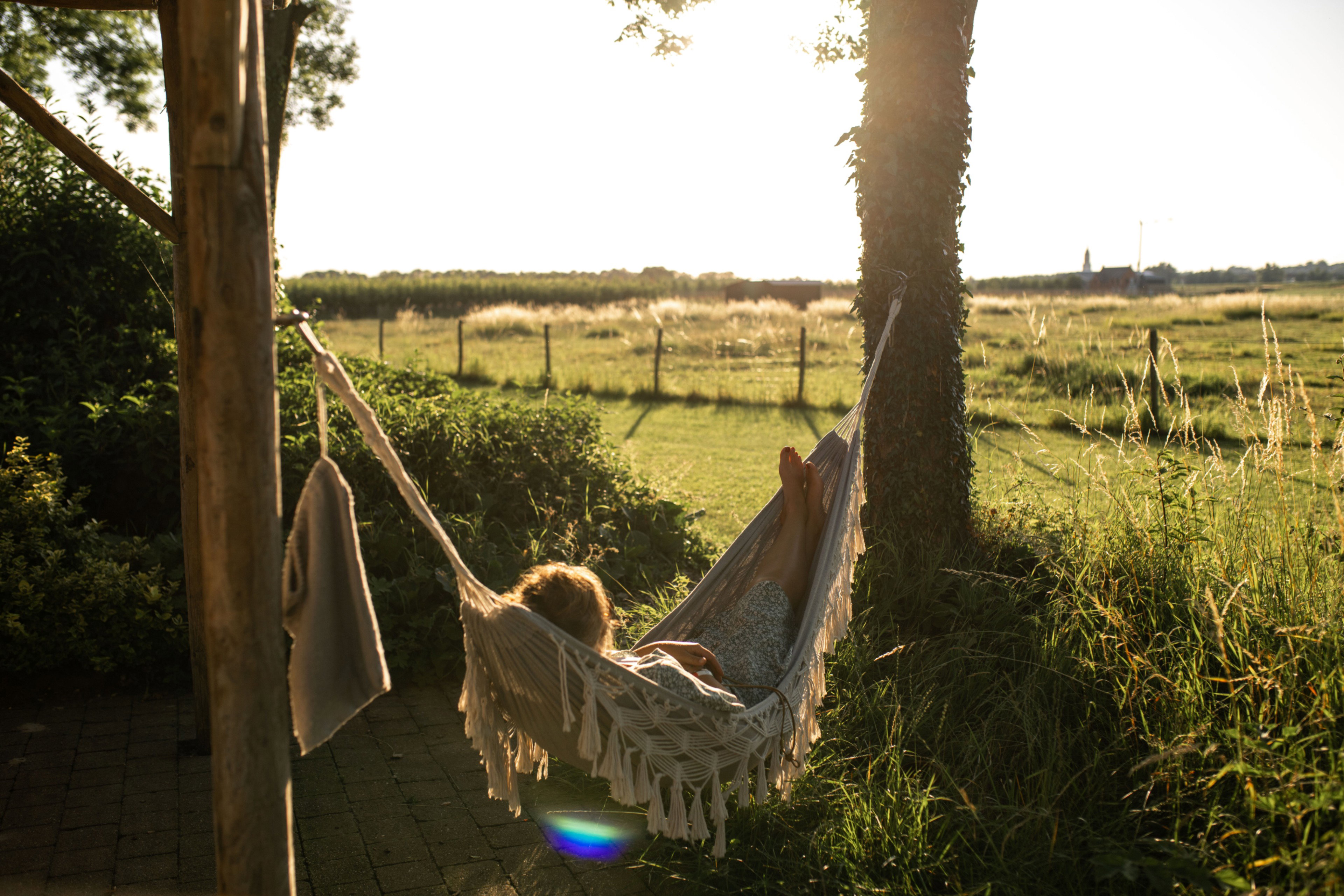 Nature house in Kesteren