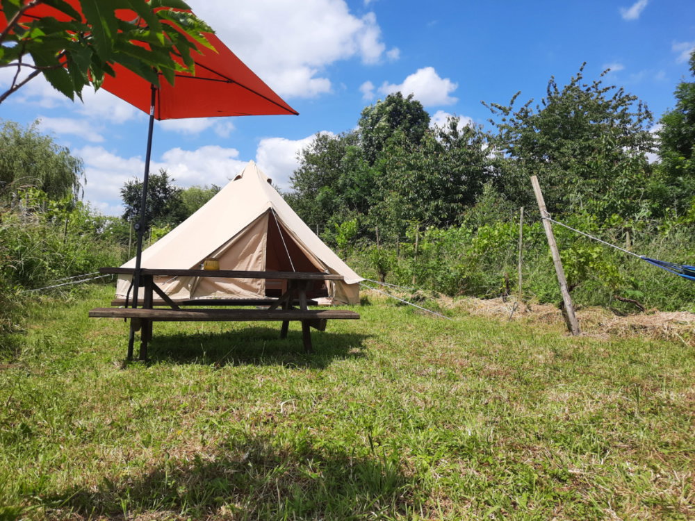 Natuurhuisje in Hurwenen