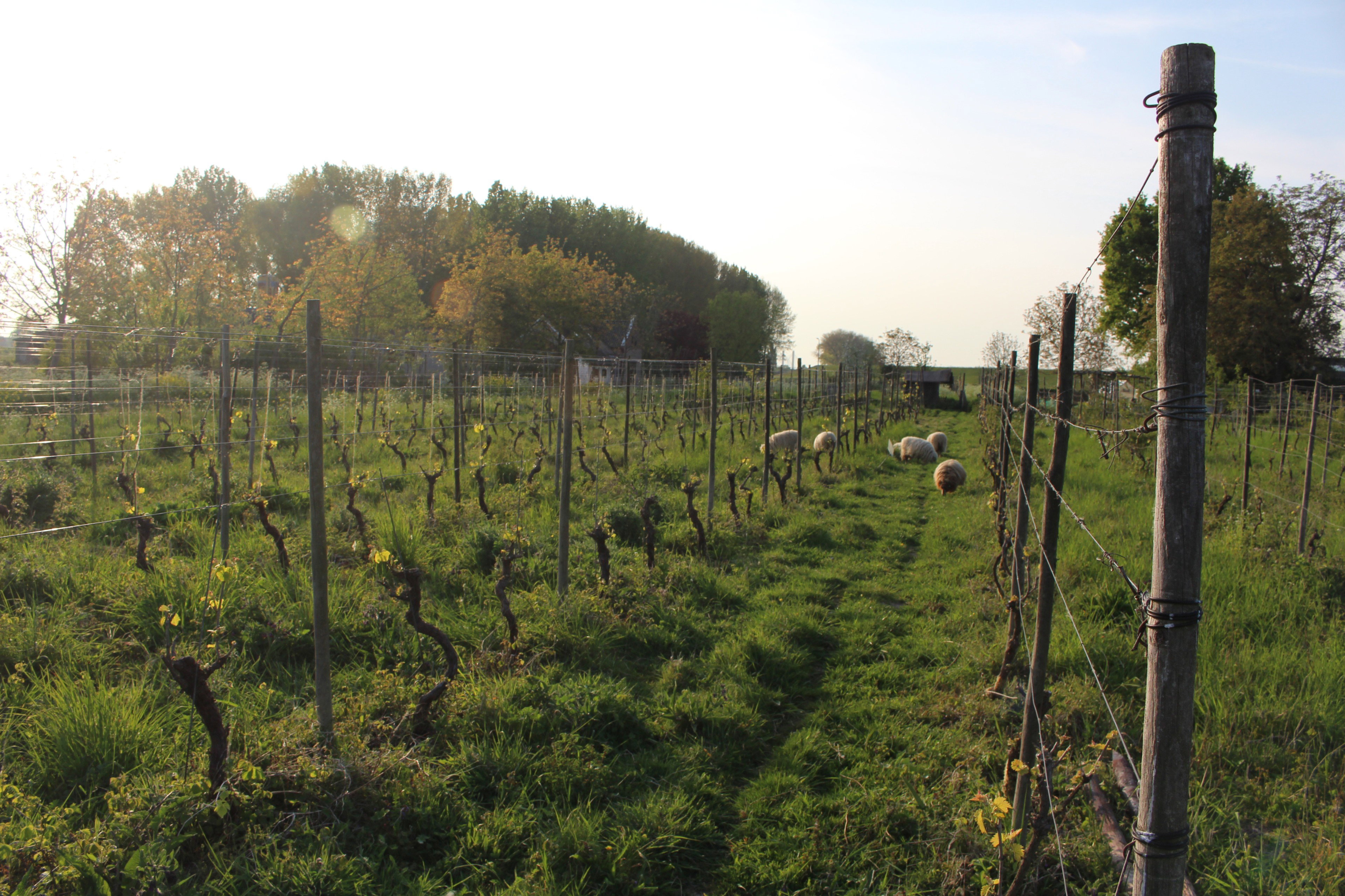Naturhäuschen in Hurwenen
