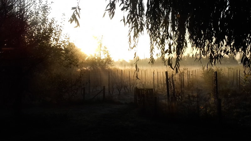 Naturhäuschen in Hurwenen